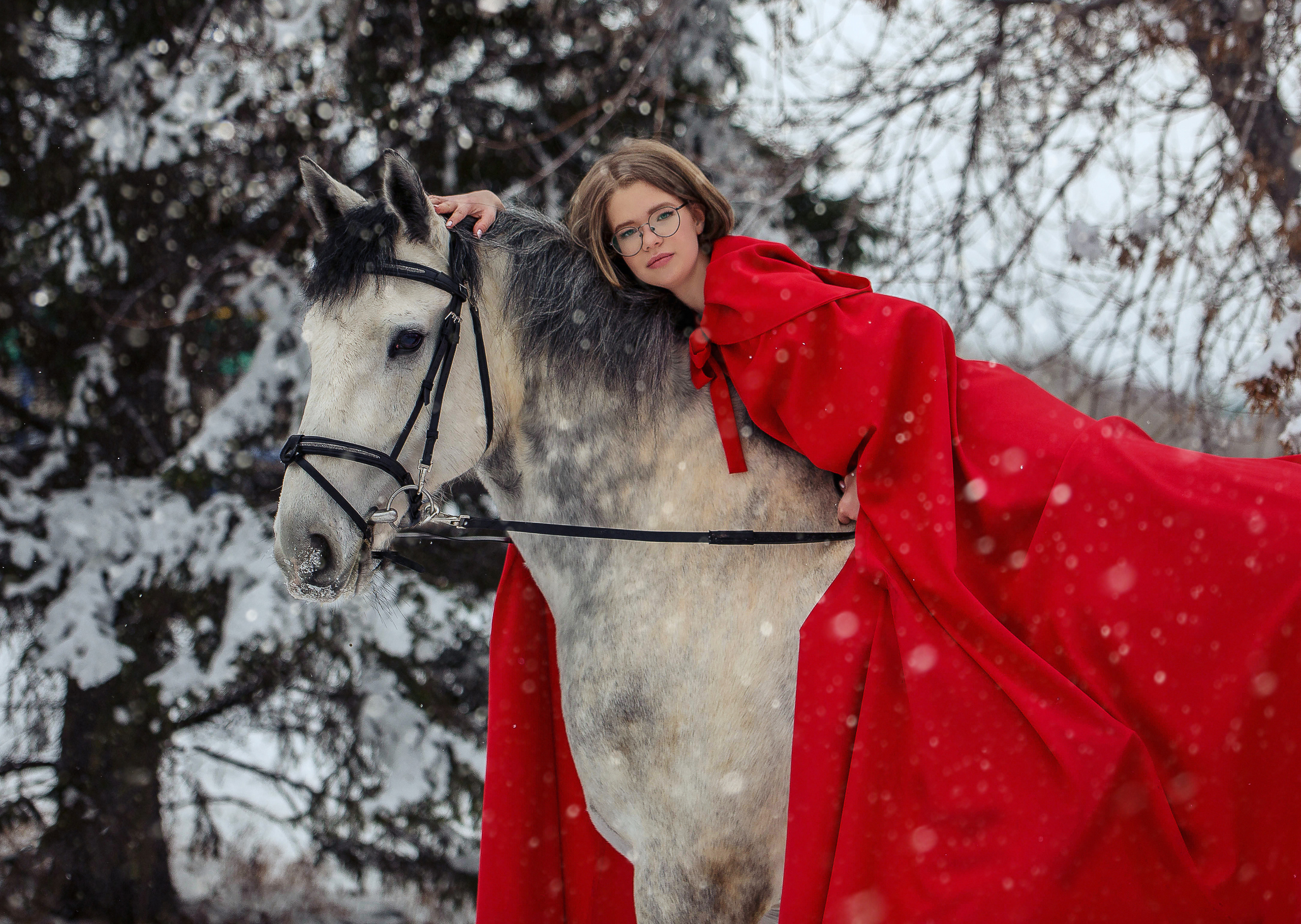 Кентавр. Конный фотограф в Красноярске — Любовь Похабова