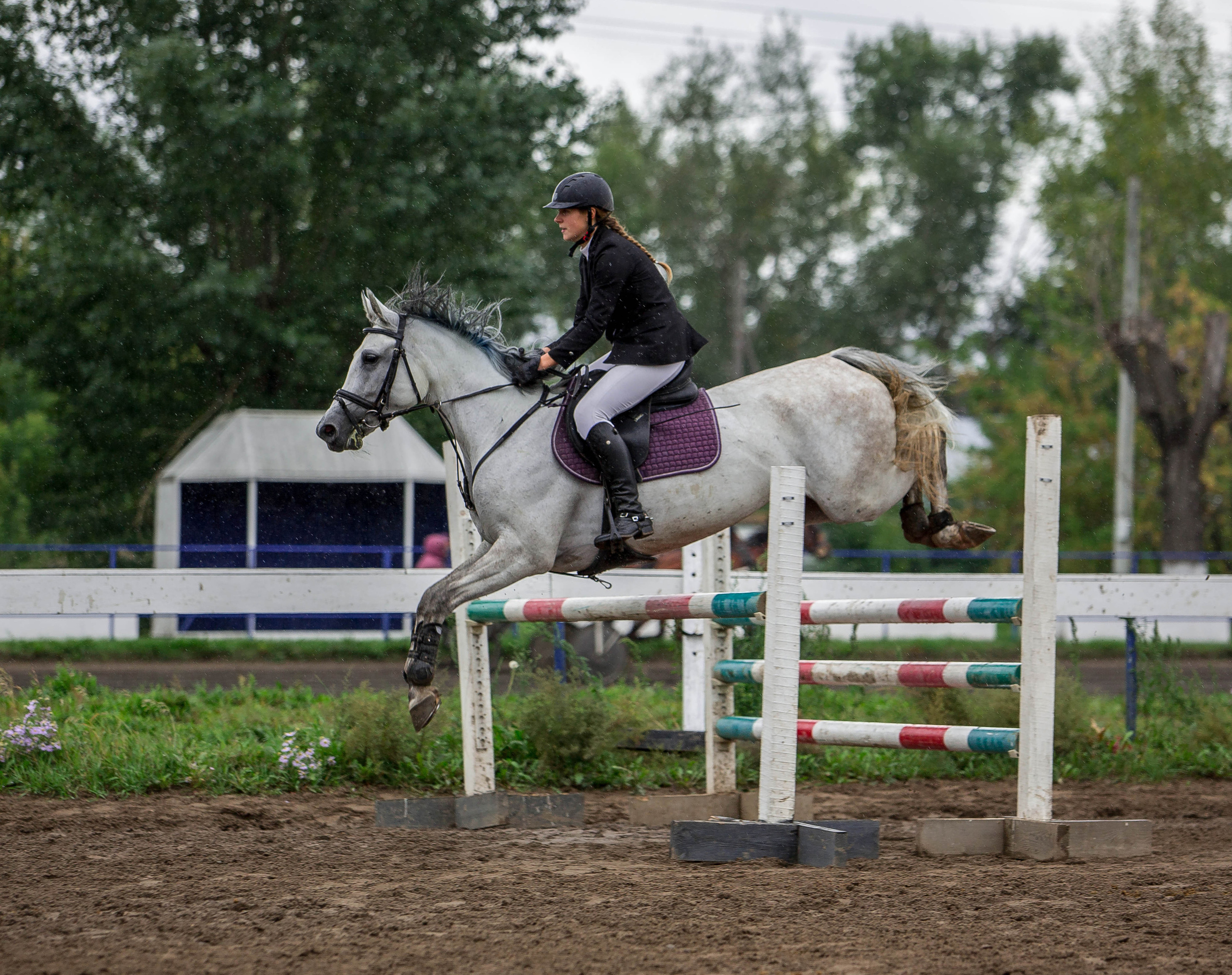 Соревнования 2022. Конный фотограф в Красноярске — Любовь Похабова