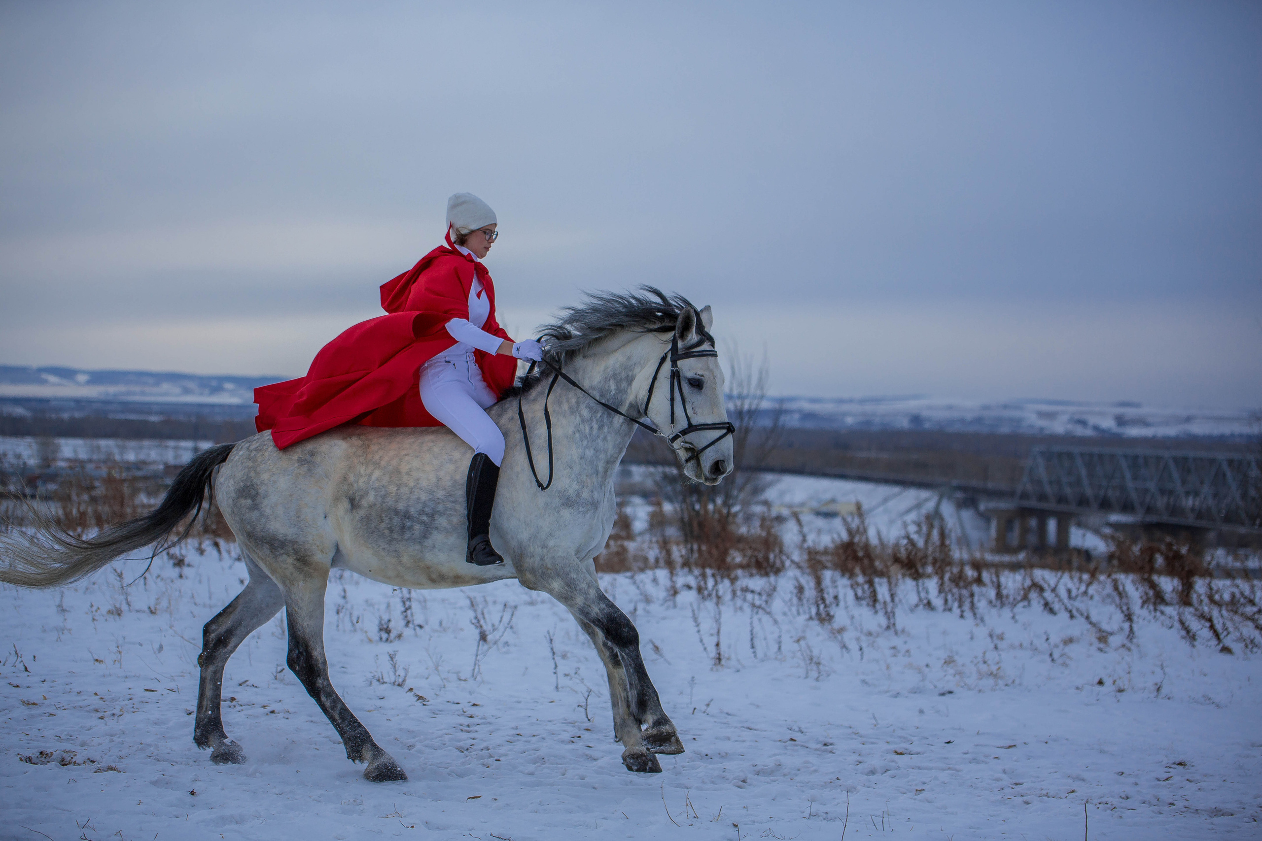 Кентавр. Конный фотограф в Красноярске — Любовь Похабова