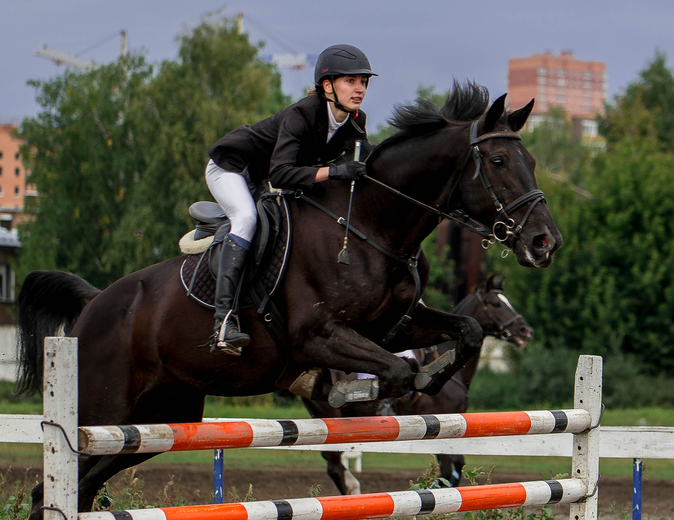 Соревнования 2022. Конный фотограф в Красноярске — Любовь Похабова