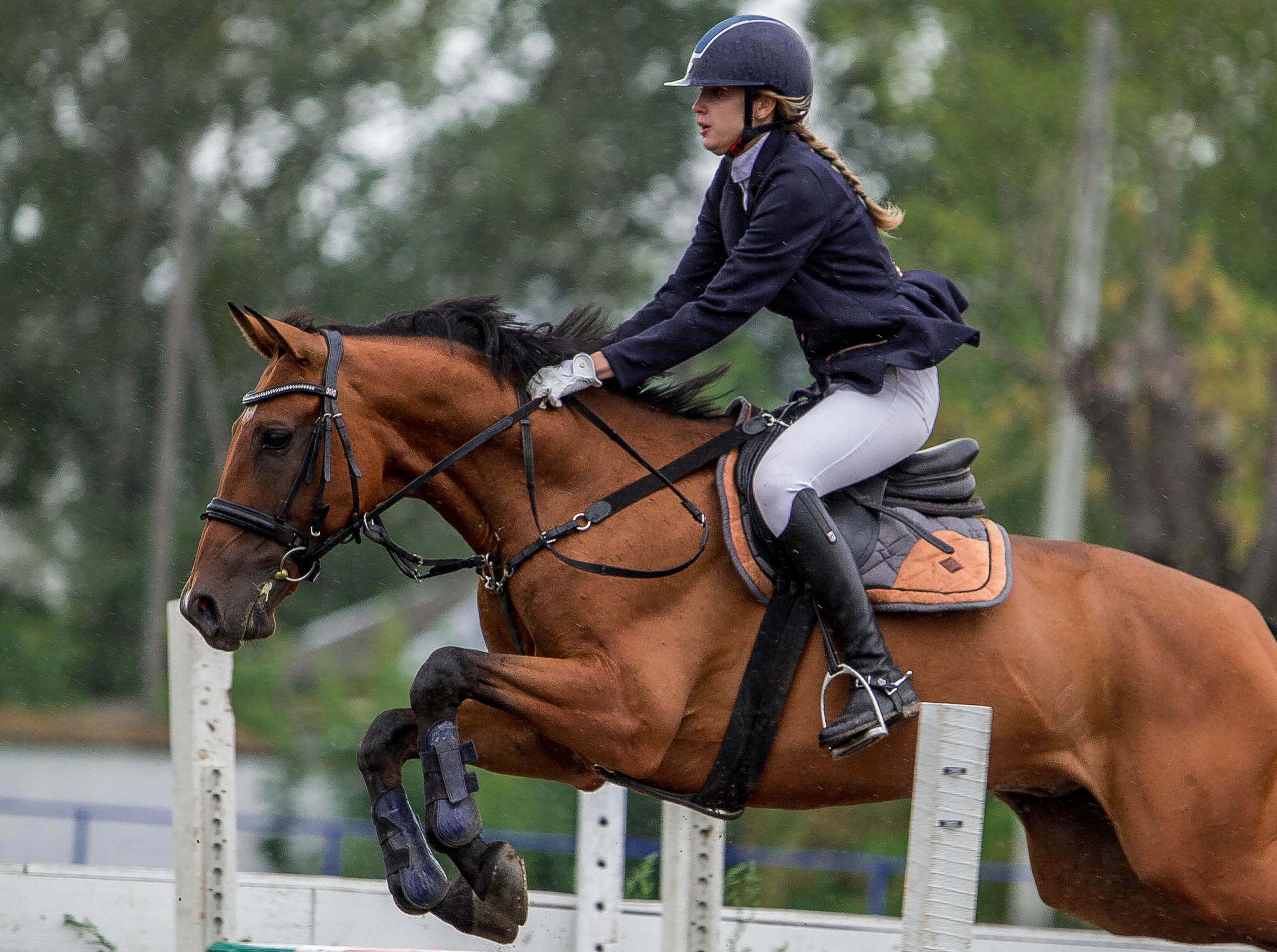 Соревнования 2022. Конный фотограф в Красноярске — Любовь Похабова