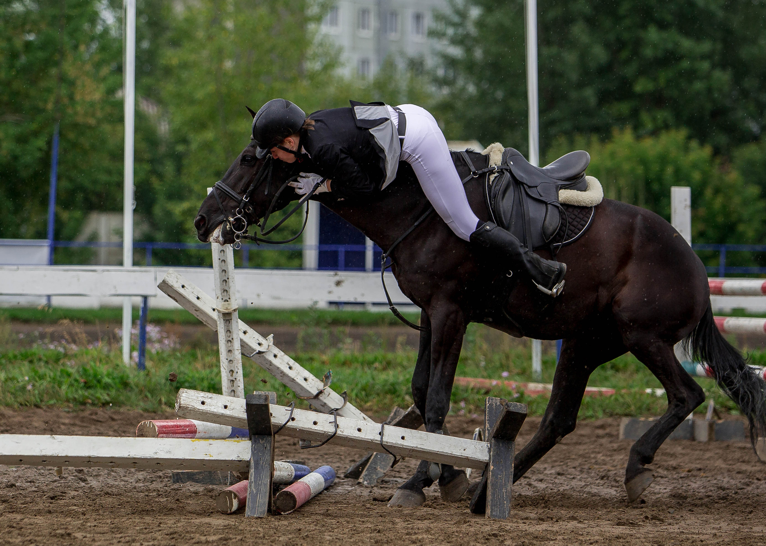Соревнования 2022. Конный фотограф в Красноярске — Любовь Похабова
