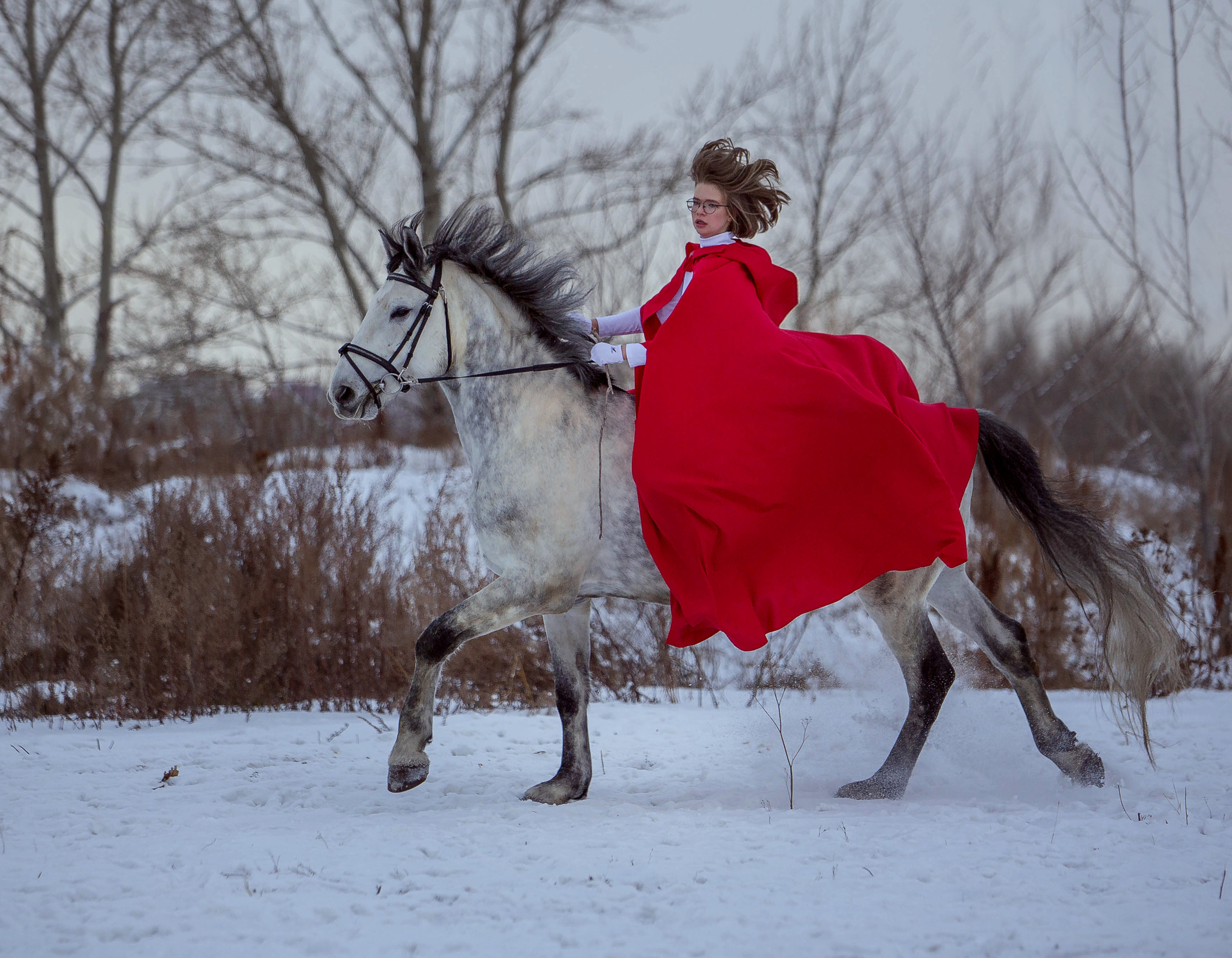 Кентавр. Конный фотограф в Красноярске — Любовь Похабова