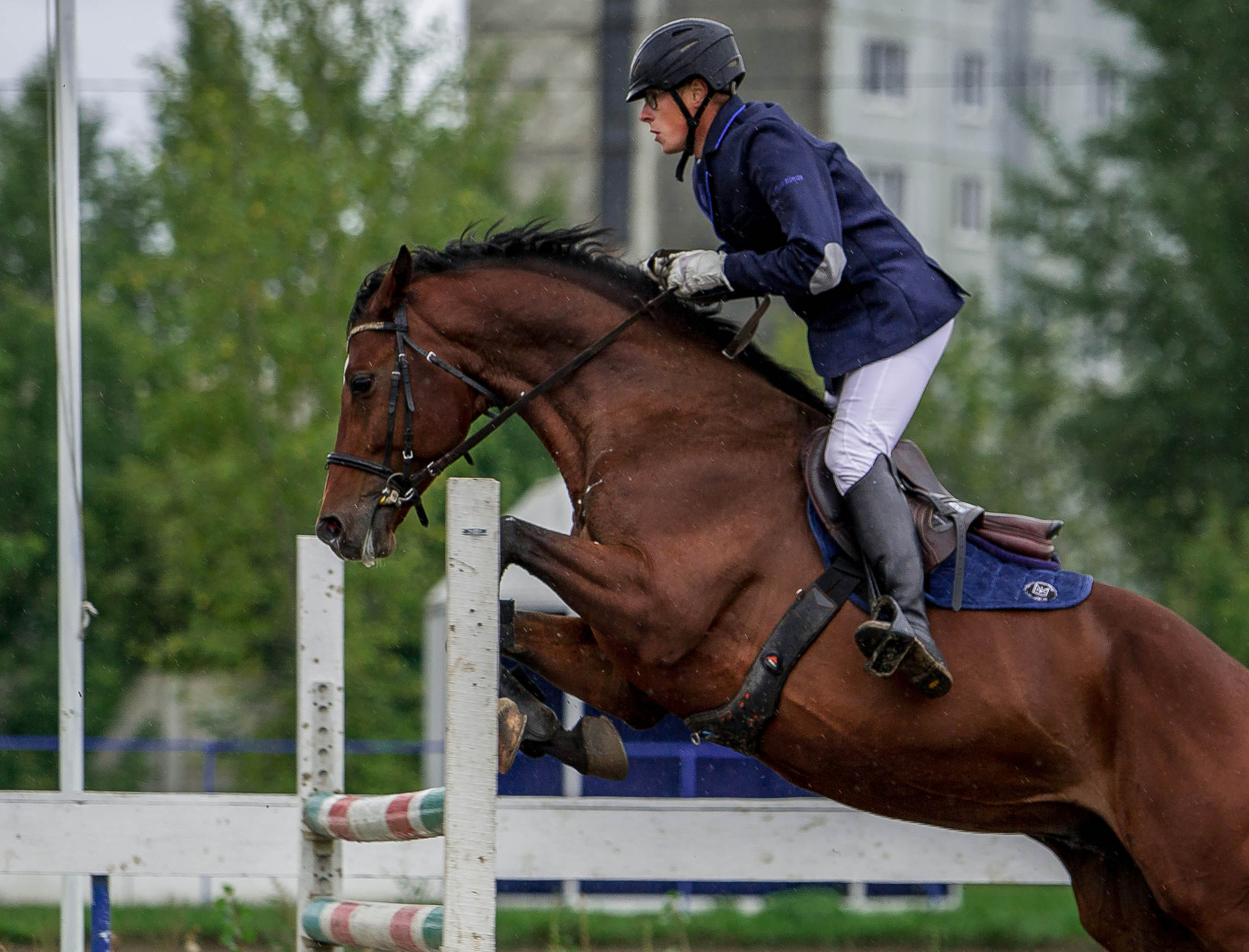 Соревнования 2022. Конный фотограф в Красноярске — Любовь Похабова