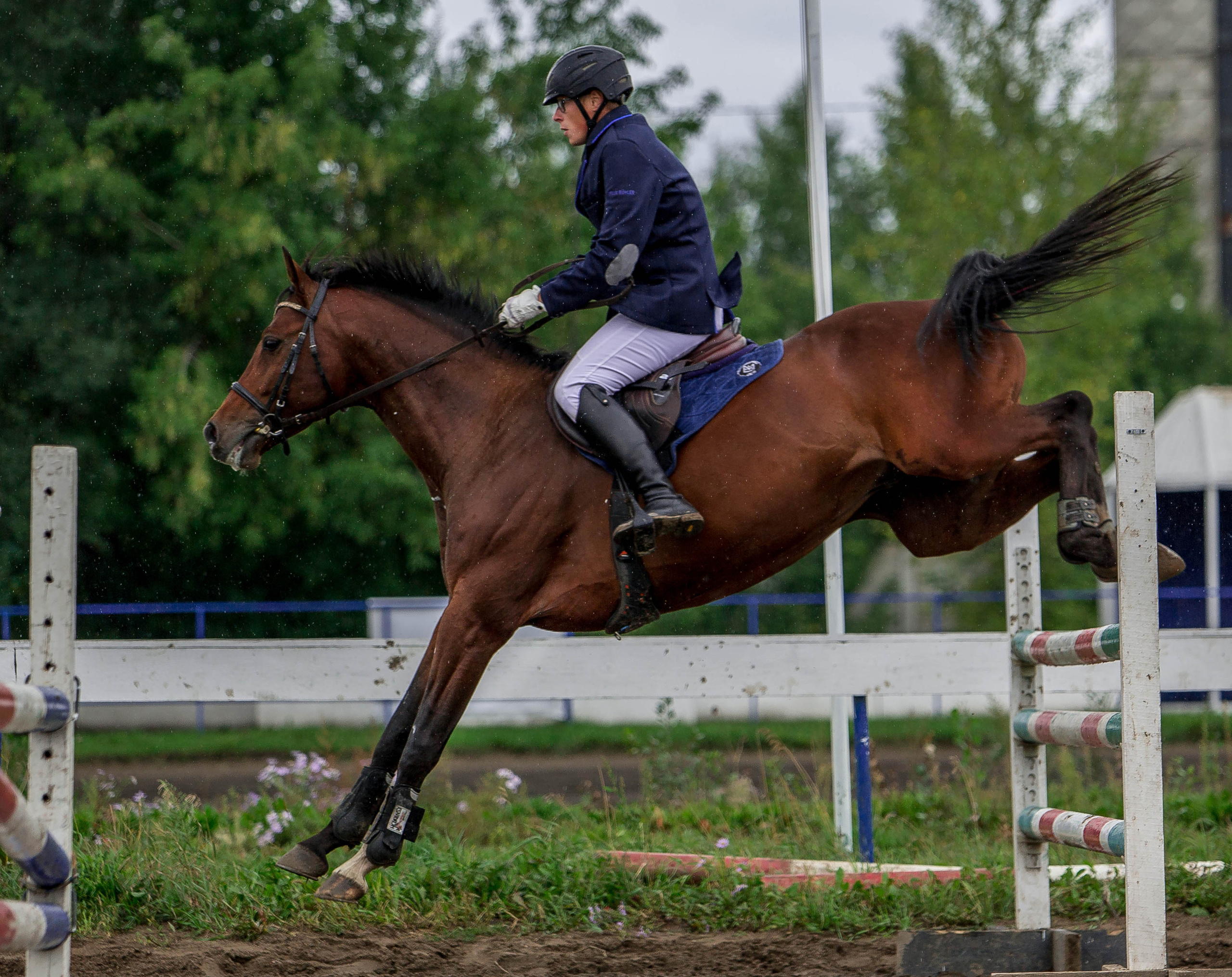 Соревнования 2022. Конный фотограф в Красноярске — Любовь Похабова