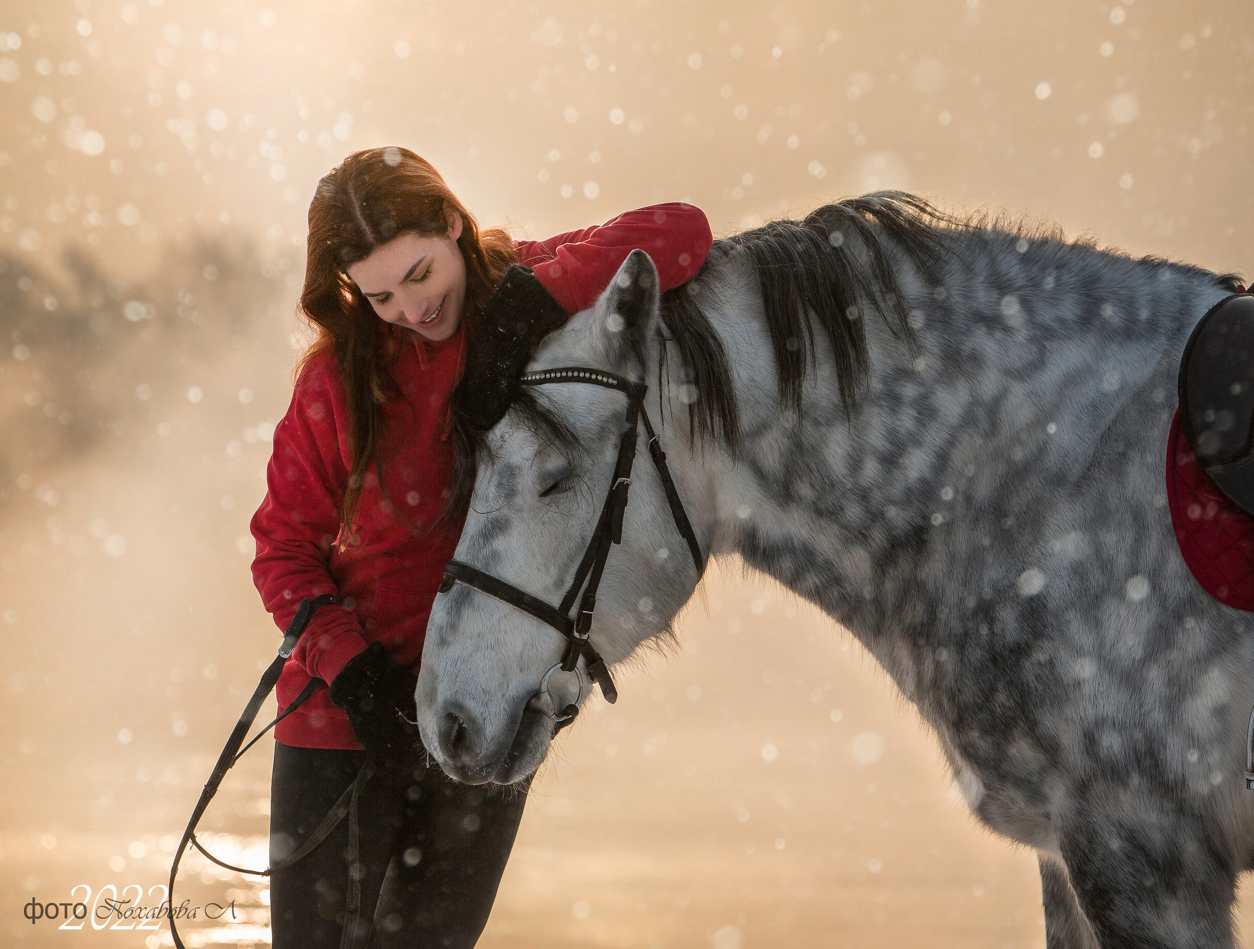 Карета 24. Конный фотограф в Красноярске — Любовь Похабова