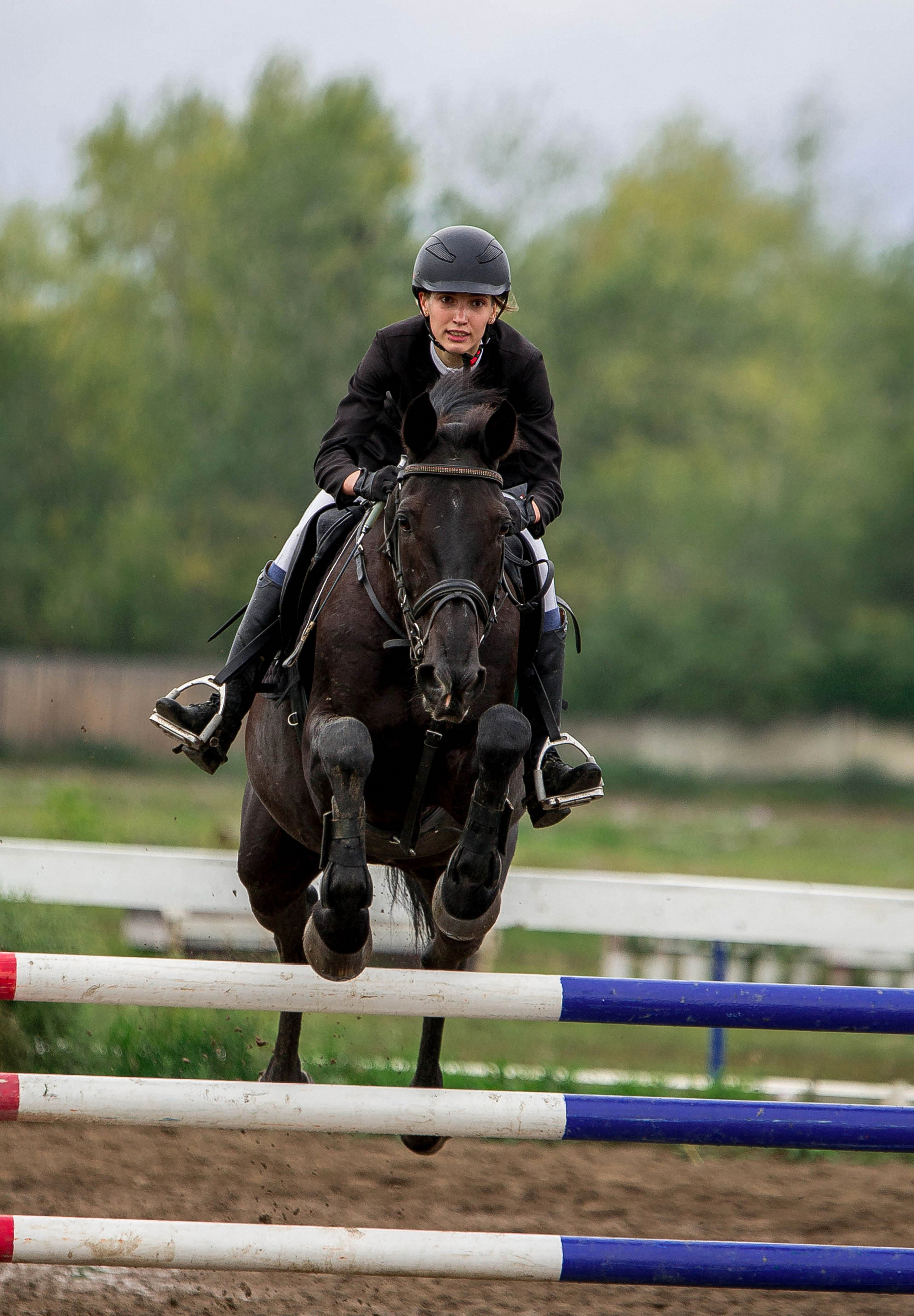 Соревнования 2022. Конный фотограф в Красноярске — Любовь Похабова