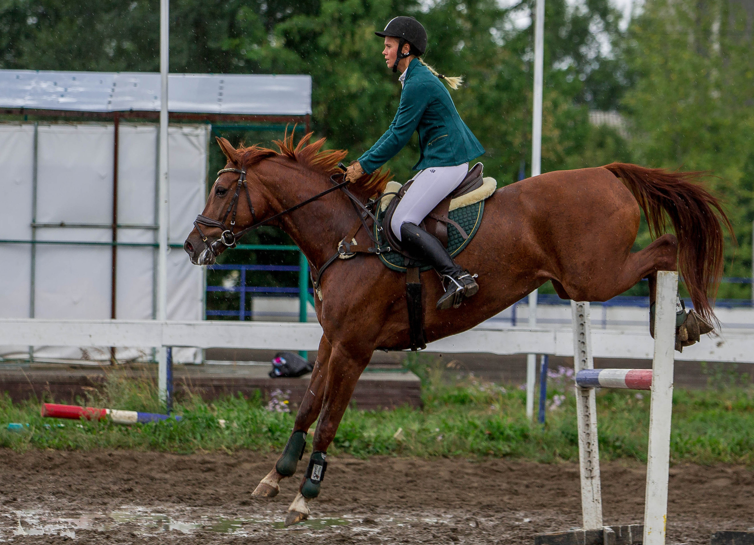 Соревнования 2022. Конный фотограф в Красноярске — Любовь Похабова