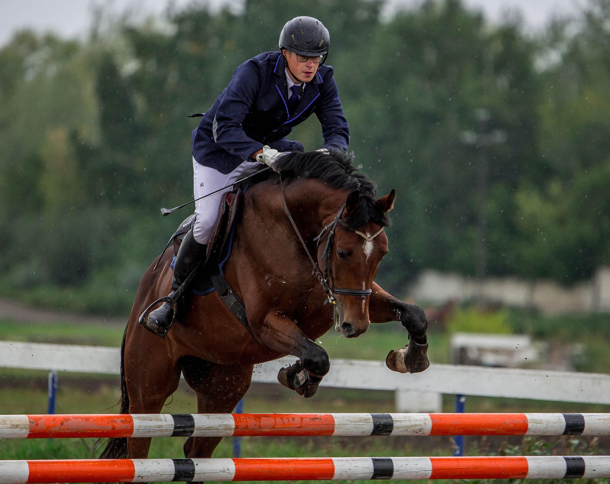 Соревнования 2022. Конный фотограф в Красноярске — Любовь Похабова