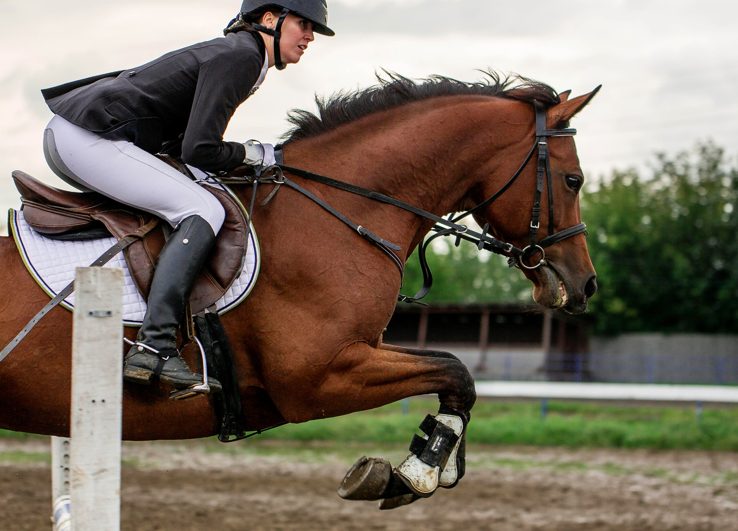 Соревнования 2022. Конный фотограф в Красноярске — Любовь Похабова