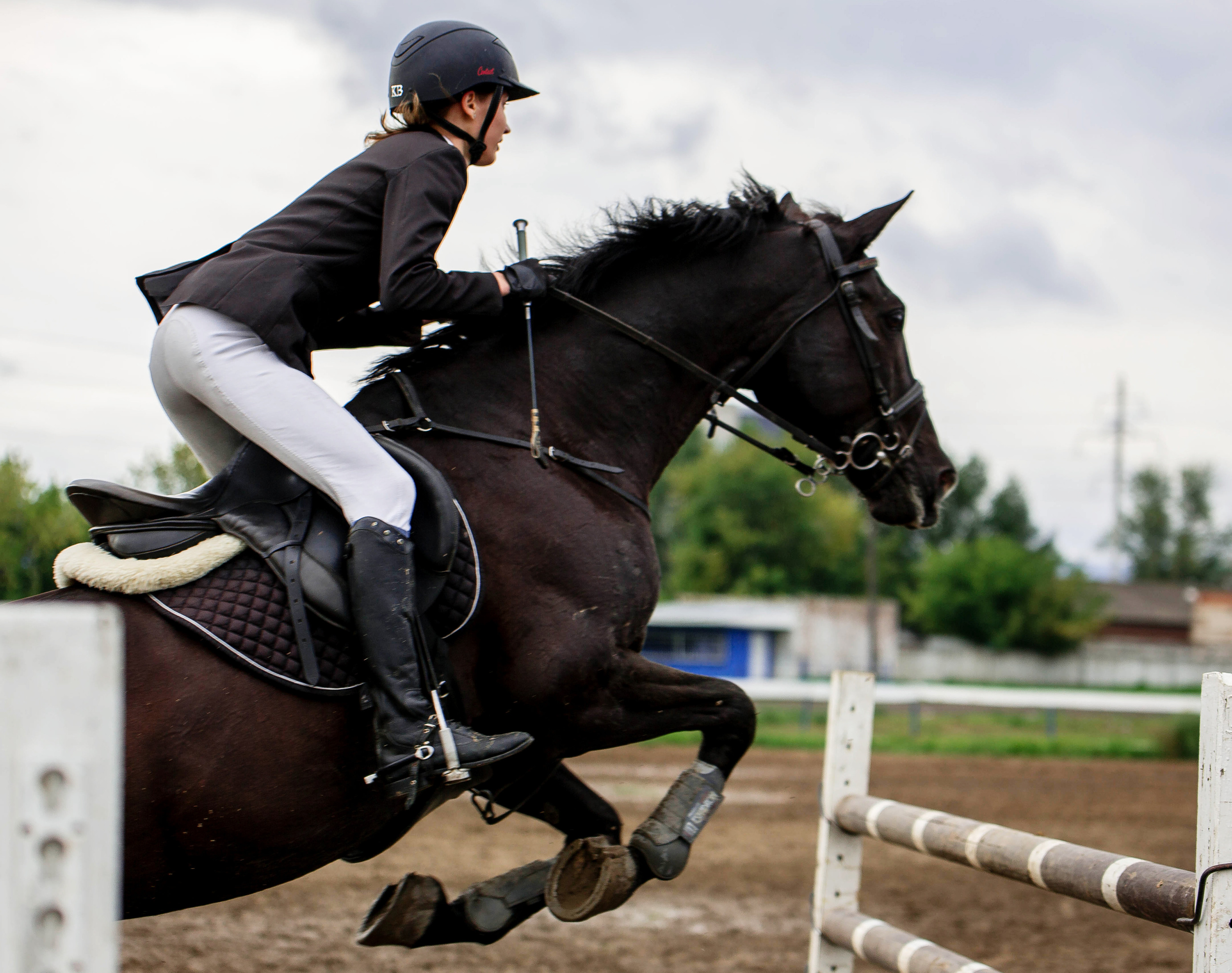 Соревнования 2022. Конный фотограф в Красноярске — Любовь Похабова