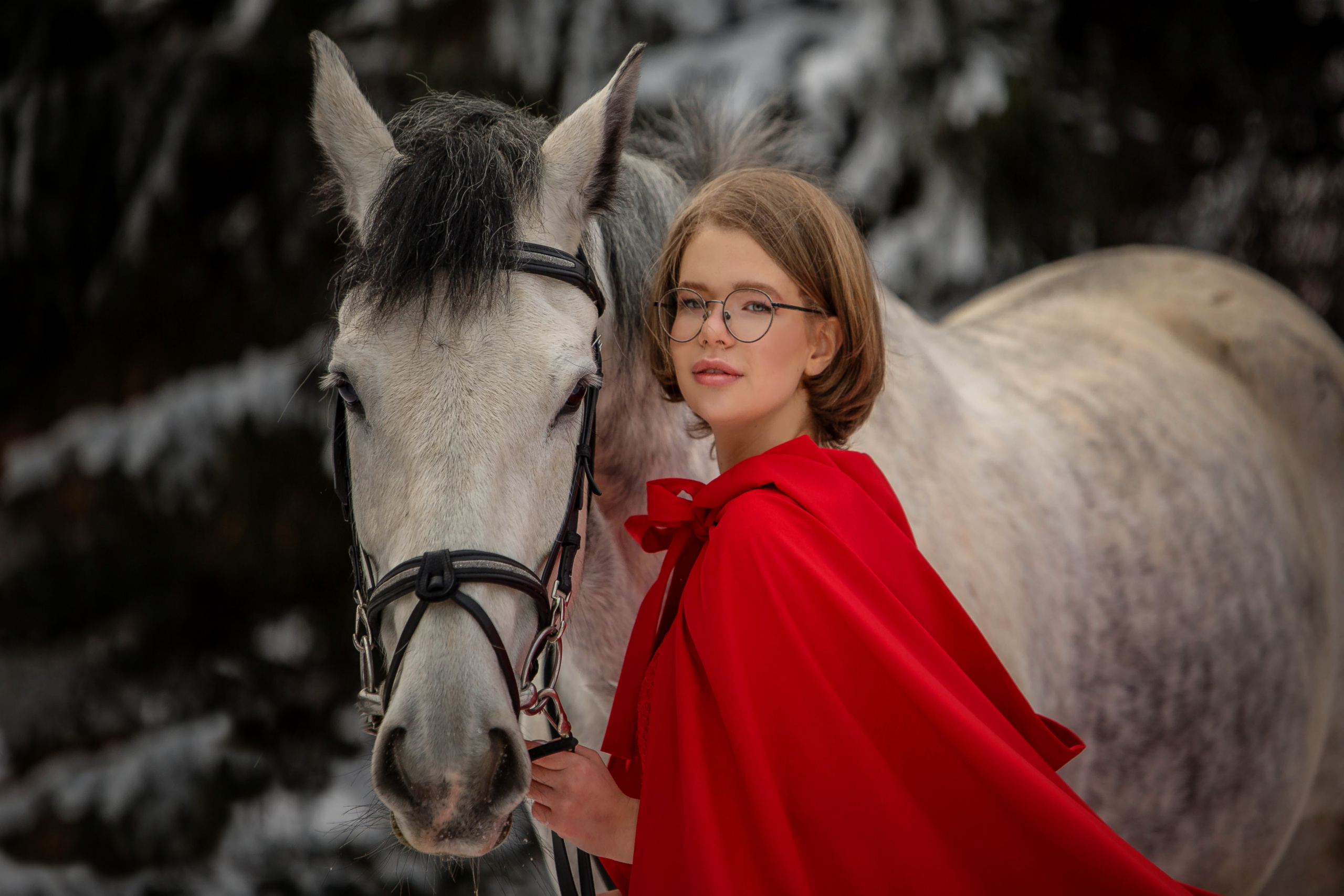 Кентавр. Конный фотограф в Красноярске — Любовь Похабова