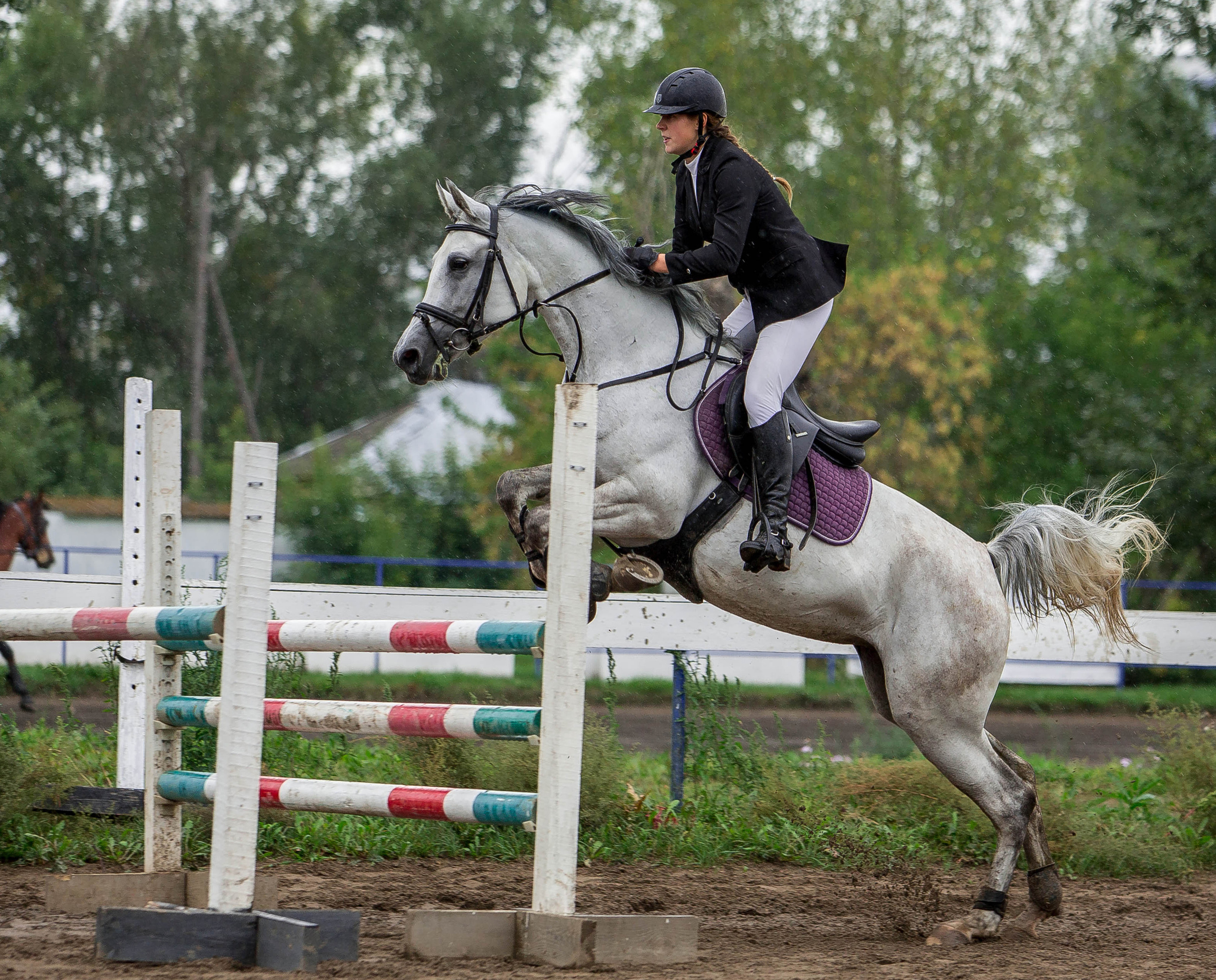 Соревнования 2022. Конный фотограф в Красноярске — Любовь Похабова