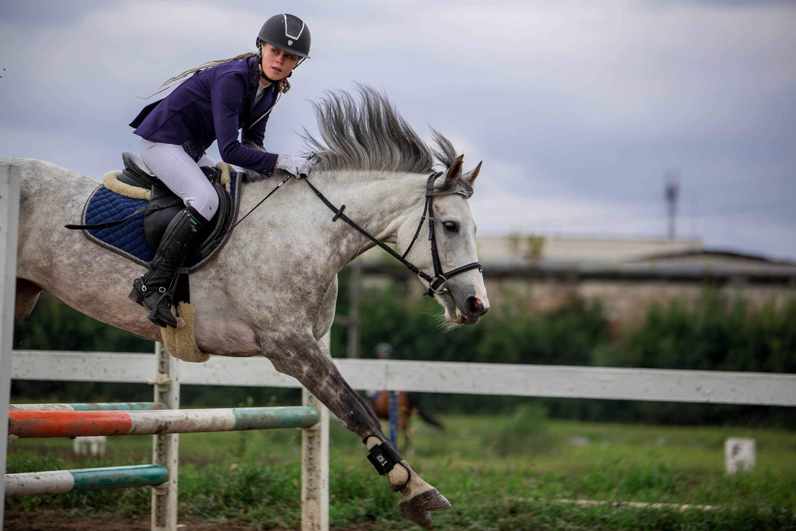 Соревнования 2022. Конный фотограф в Красноярске — Любовь Похабова