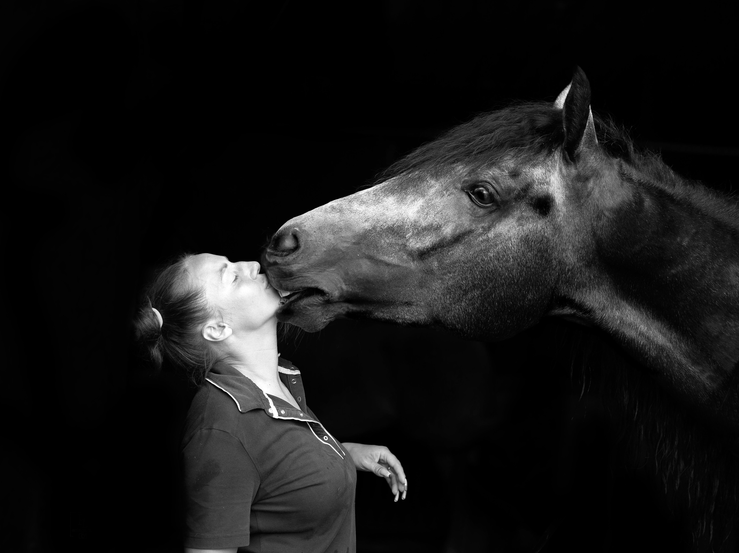 Фотосессии в Удачном — Золотая Грива. Конный фотограф в Красноярске — Любовь Похабова