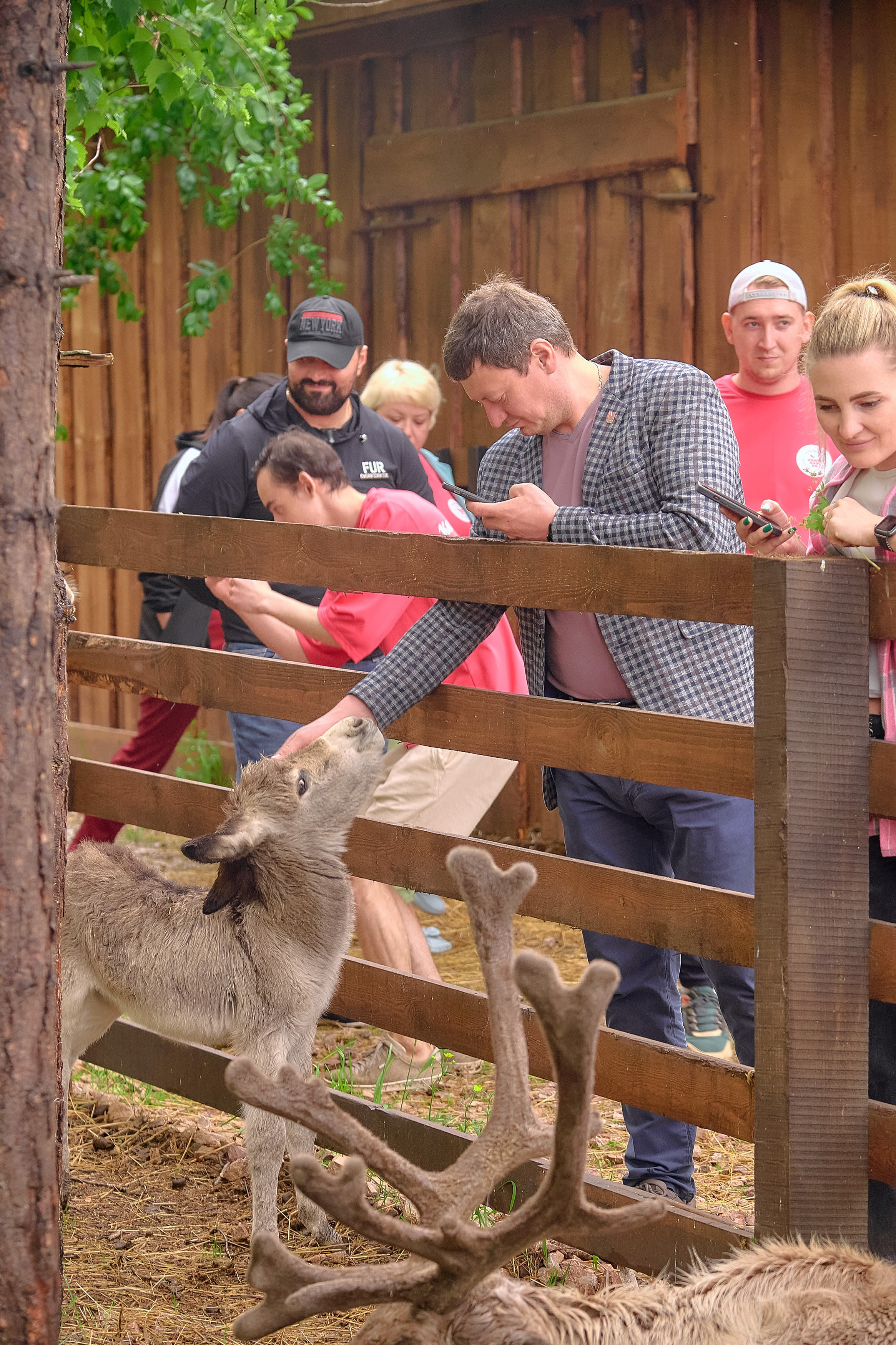 Ранчо «Шарье». Сеть магазинов «Калина-Малина». Фотограф Яковлев Роман — Красноярск