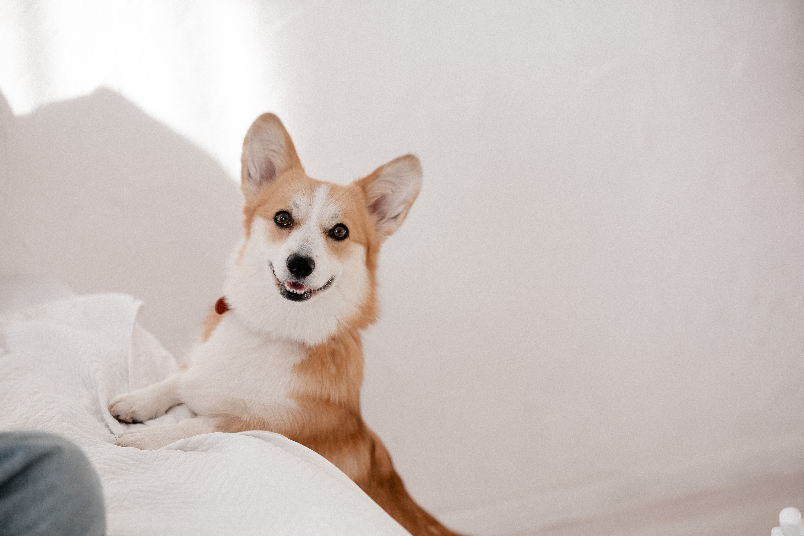 Радик. Свадебный и семейный фотограф в Казани и Зеленодольске Ланочкин Илья