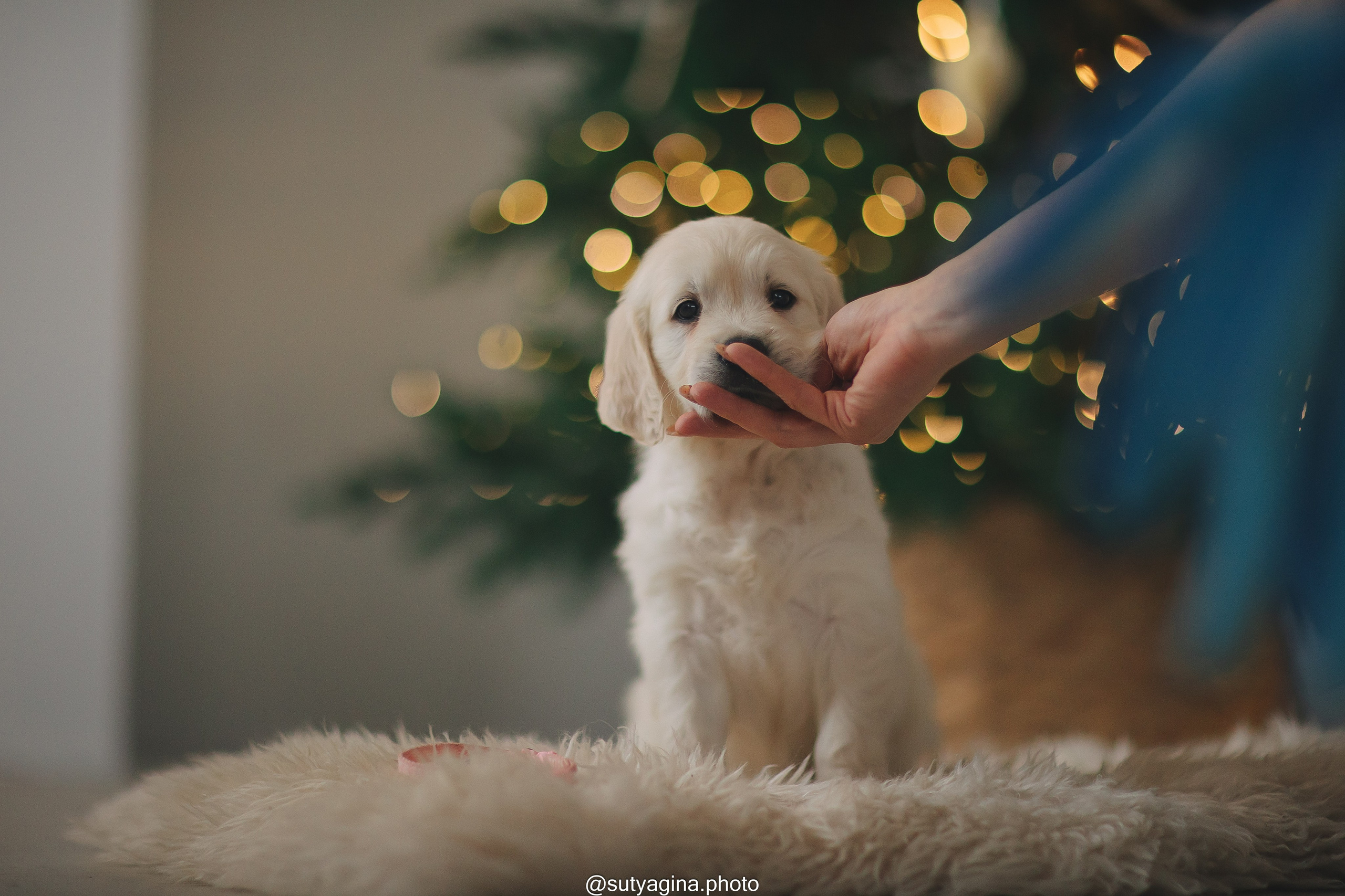 Белая лента. Свадебный и женский фотограф