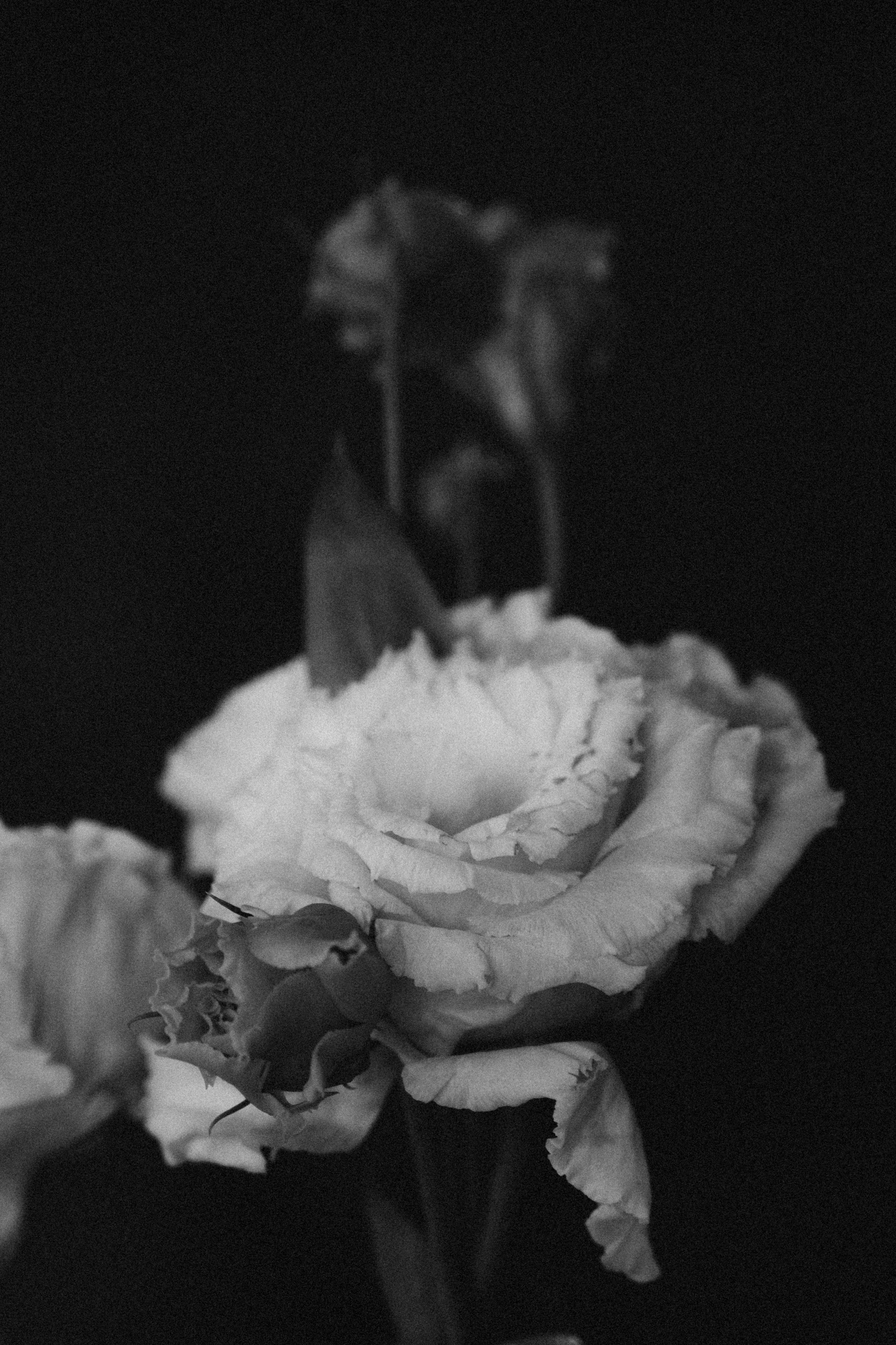 Свадьба  в Нижнем Новгороде на площадке Forself. Свадебный фотограф Нижний Новгород Фатичев Артем