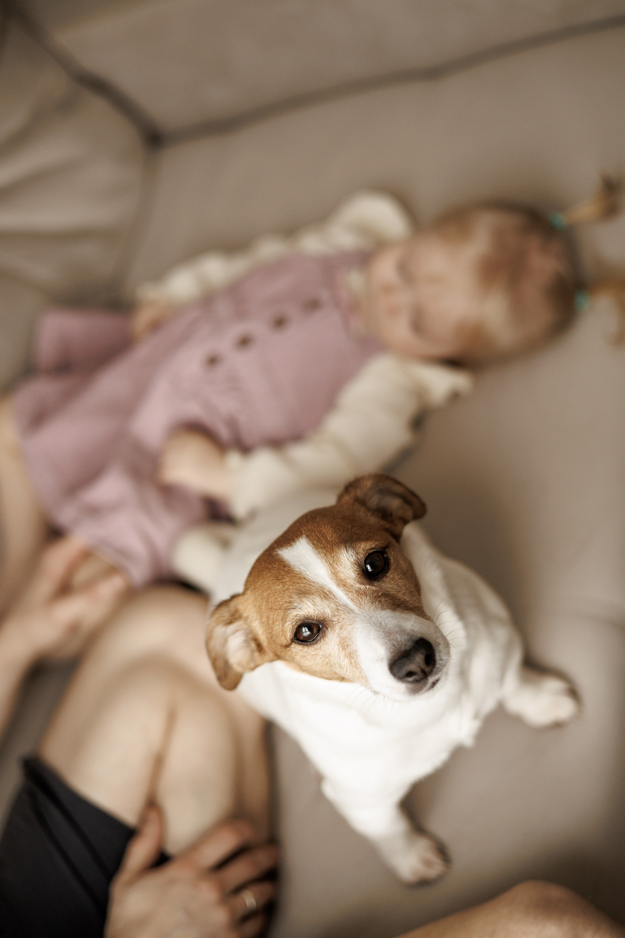 СЕМЕЙНАЯ СЪЕМКА. Фотограф Алена Борисенко — Ярославль, Рыбинск