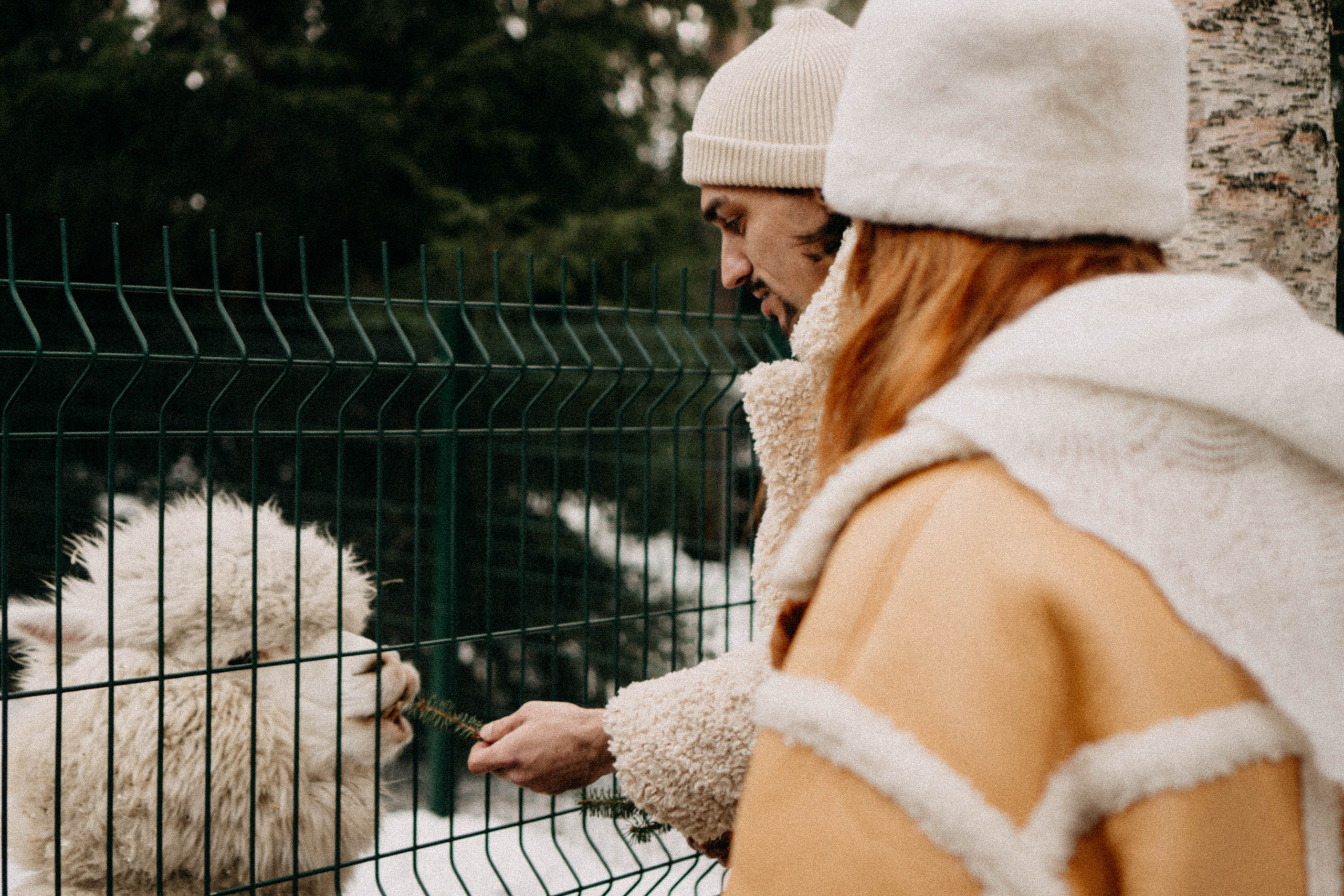 Каток. Профессиональный фотограф, Санкт-Петербург — Виктория Богомолова