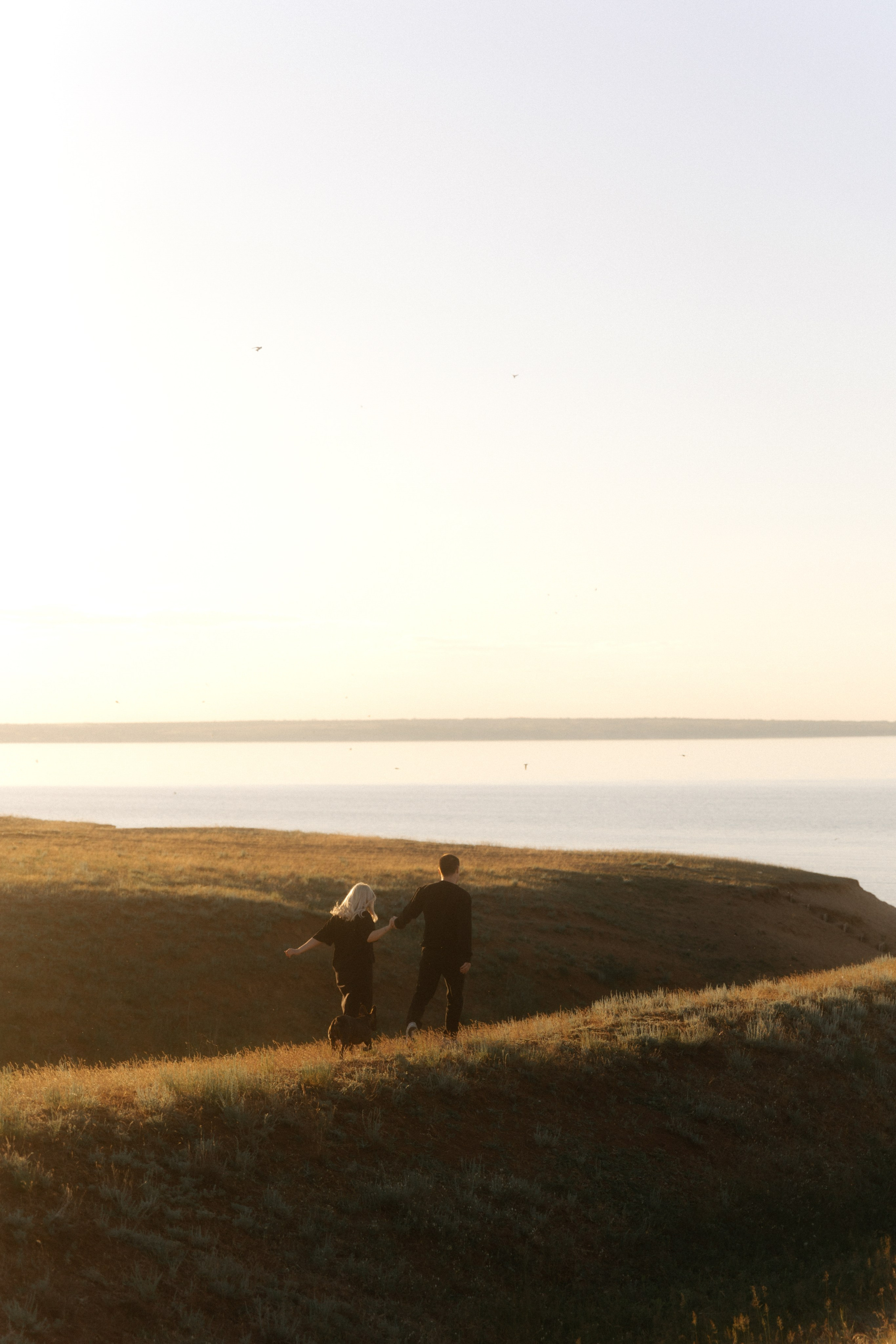 Ласточки. Свадебный и семейный фотограф Юлия Сафронова