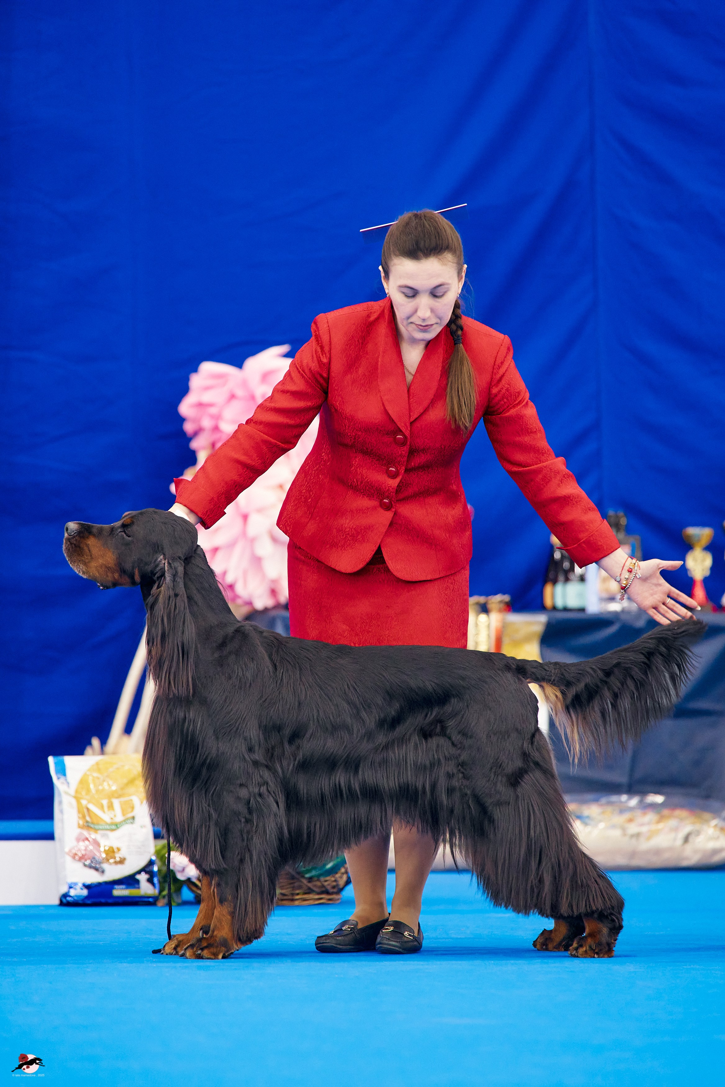 27.04.2025 | "Петербург-Элита 2025" & «КУБОК «ЭЛИТЫ»-2025»