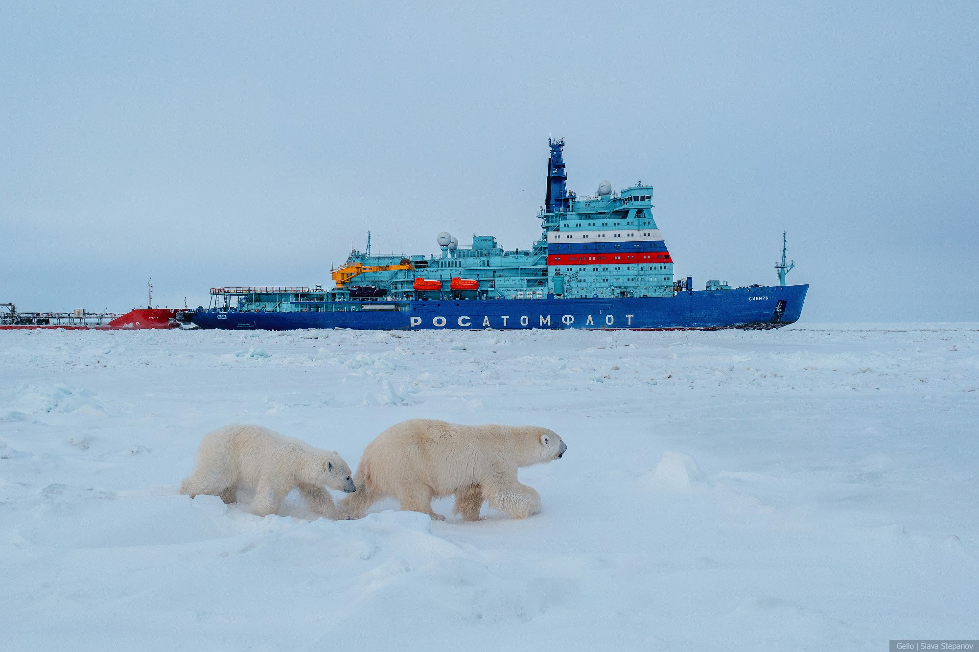 Ледоколы. Фотограф Слава Степанов, Gelio