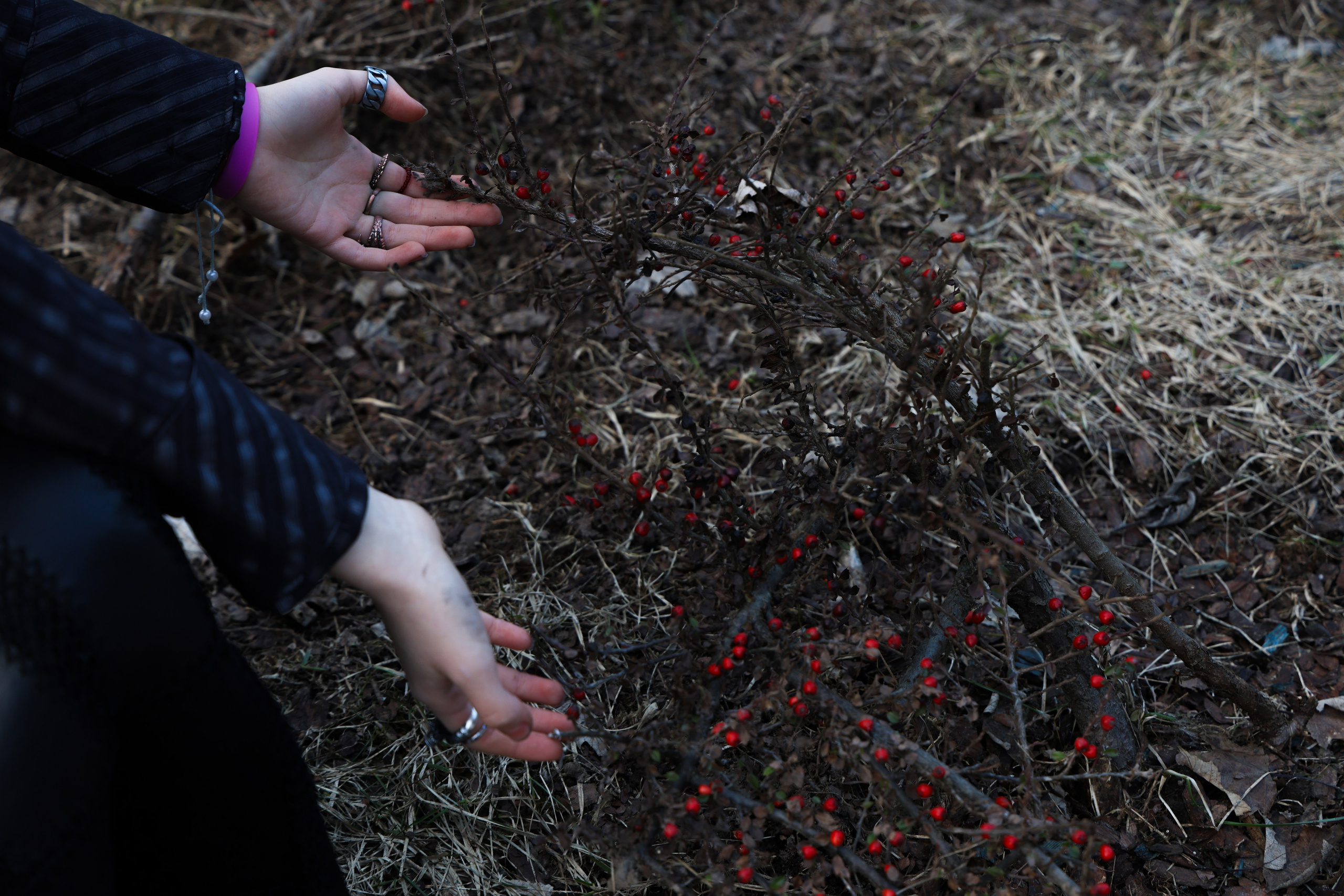 Twilight forest. Portrait photographer based in Toronto — Blinova Mariia