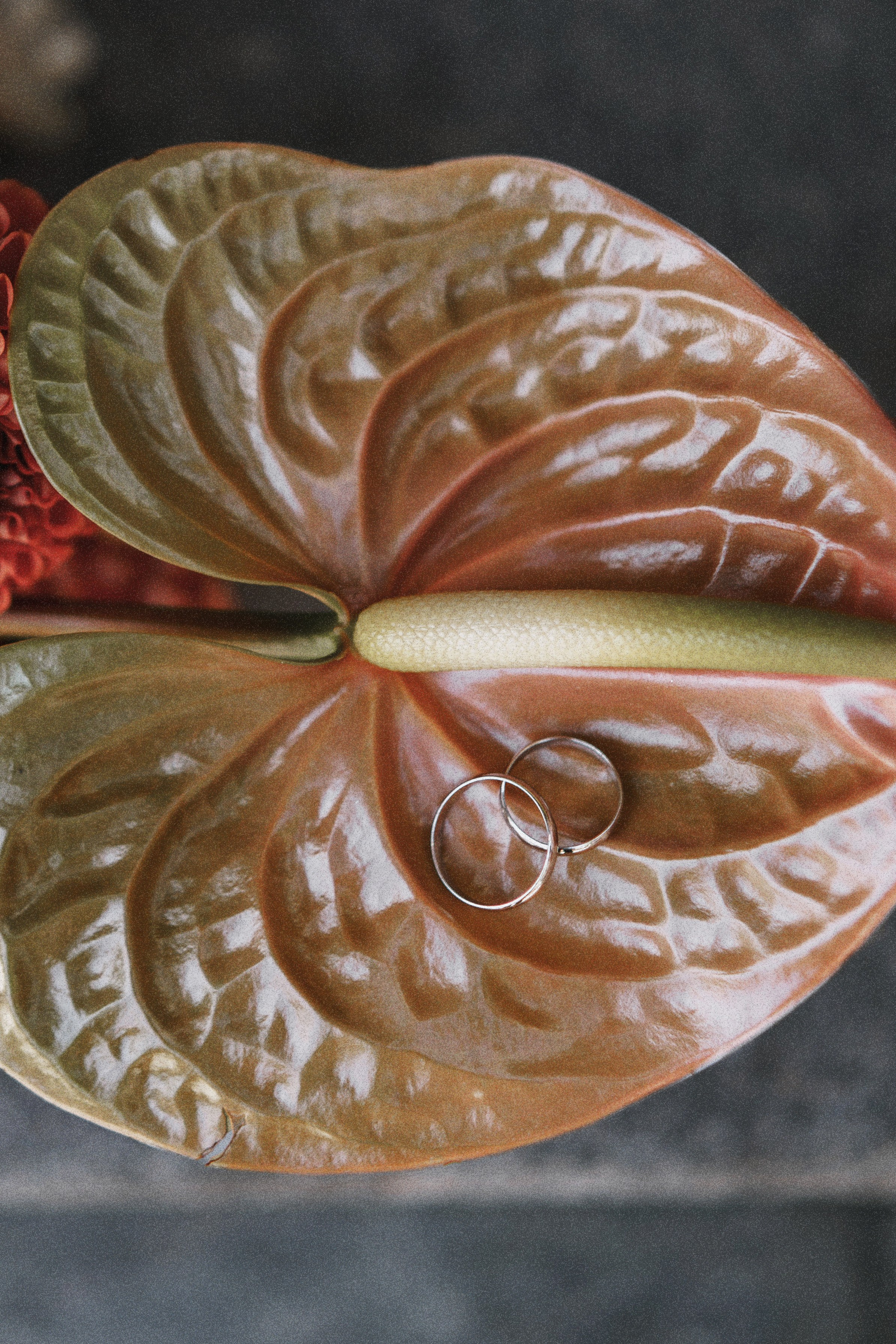 Тбилиси: Гера и Наташа. Свадебный и индивидуальный фотограф Татьяна Гуляева