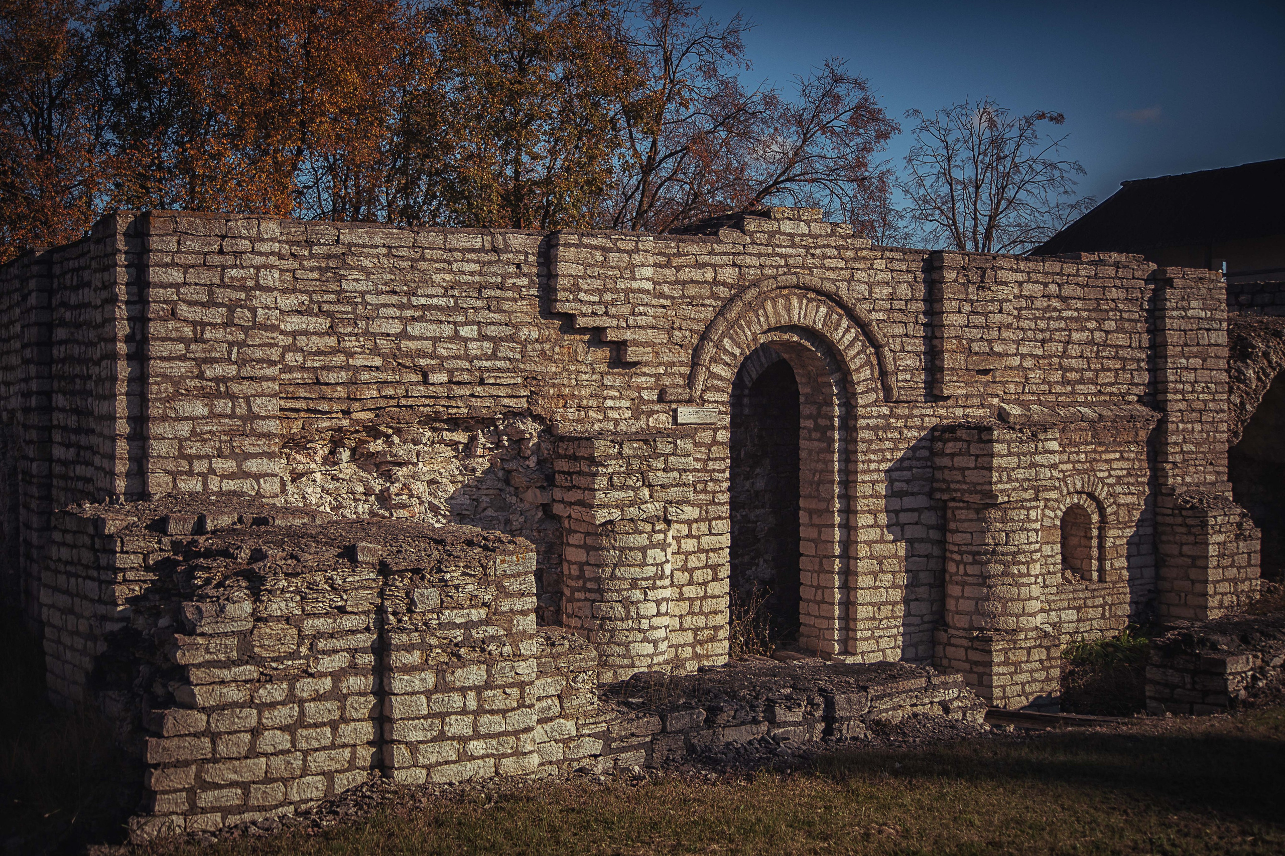 Псков. Семейный и детский фотограф в Москве Ольга Кривенцова