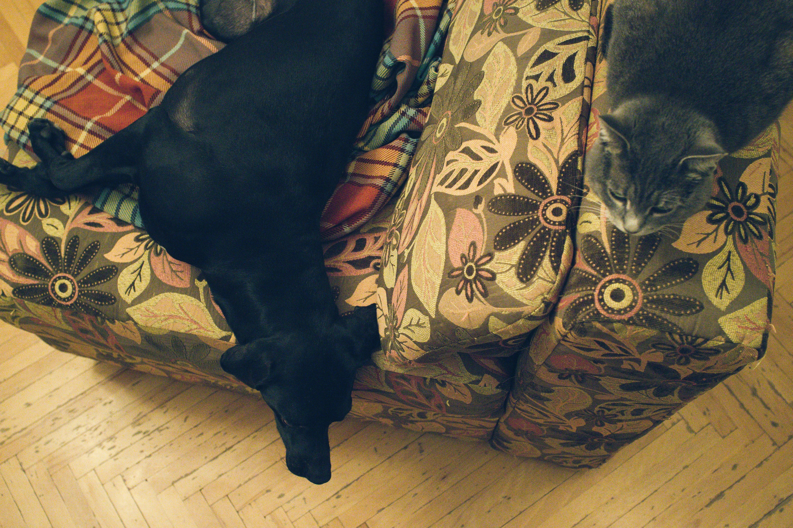 Чина и её люди. Дмитрий Бречалов