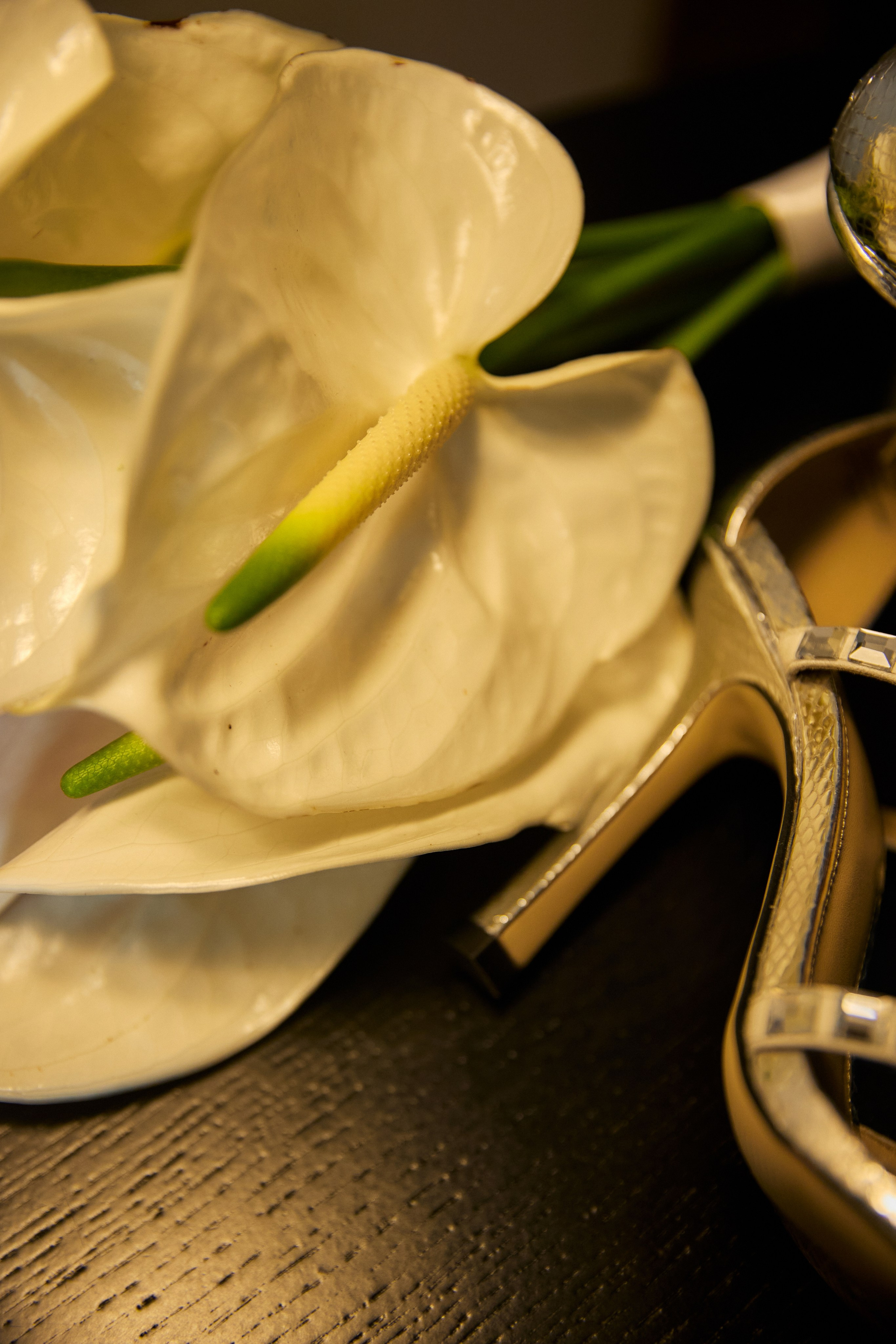 Карина и Костя. Свадебный и семейный фотограф