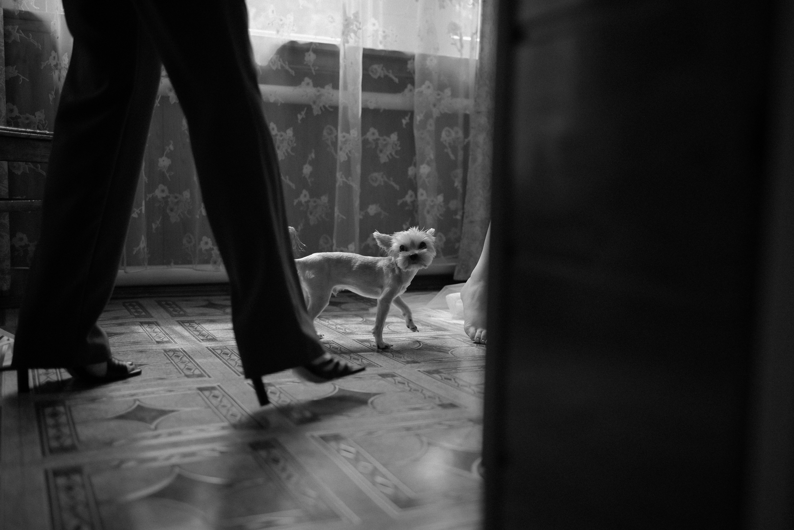 Николай Анастасия. Свадебный фотограф Анна Хочева