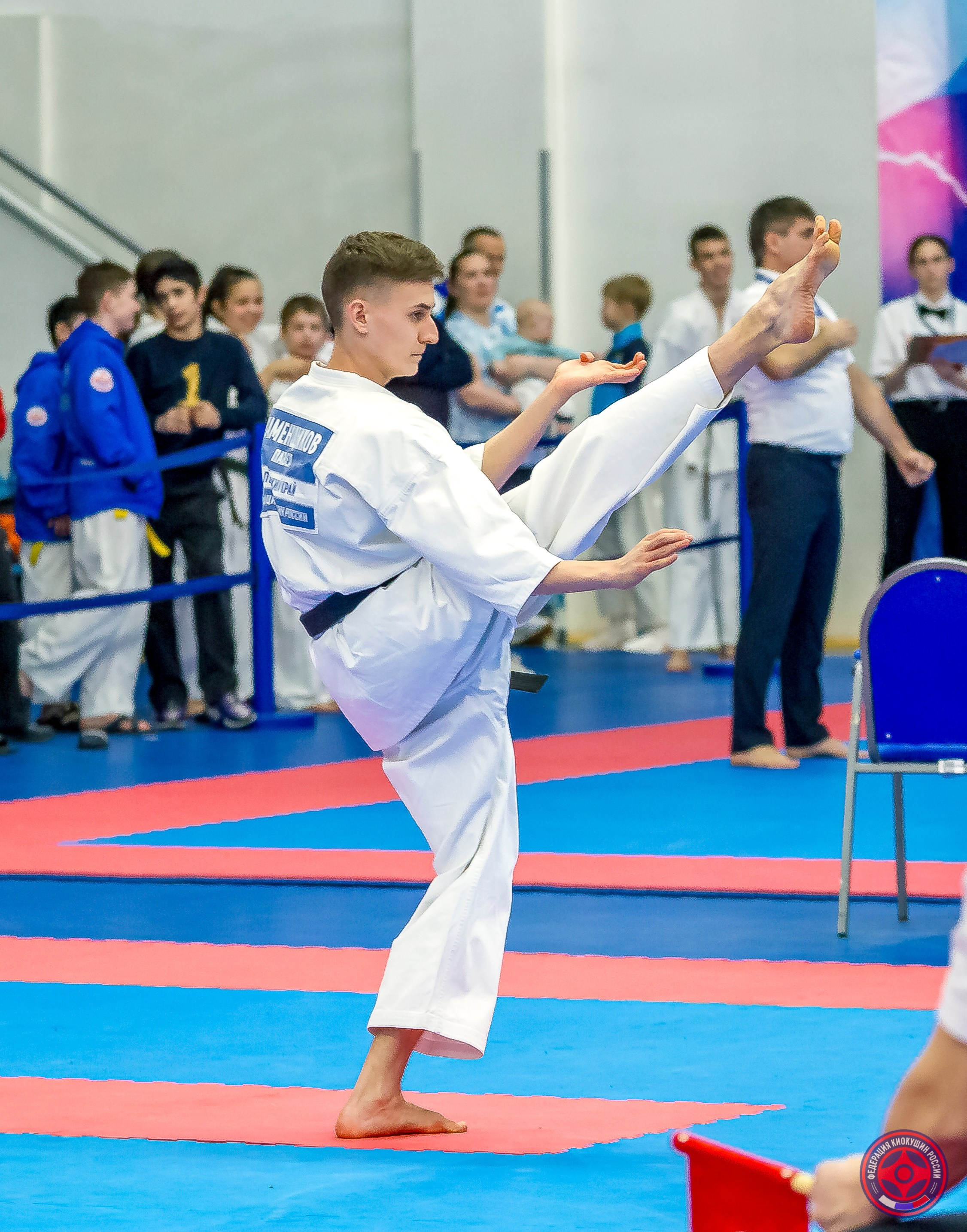 Международный турнир по киокушин «Открытый кубок Seiken». Репортажная съемка в Москве и области. Анималистика