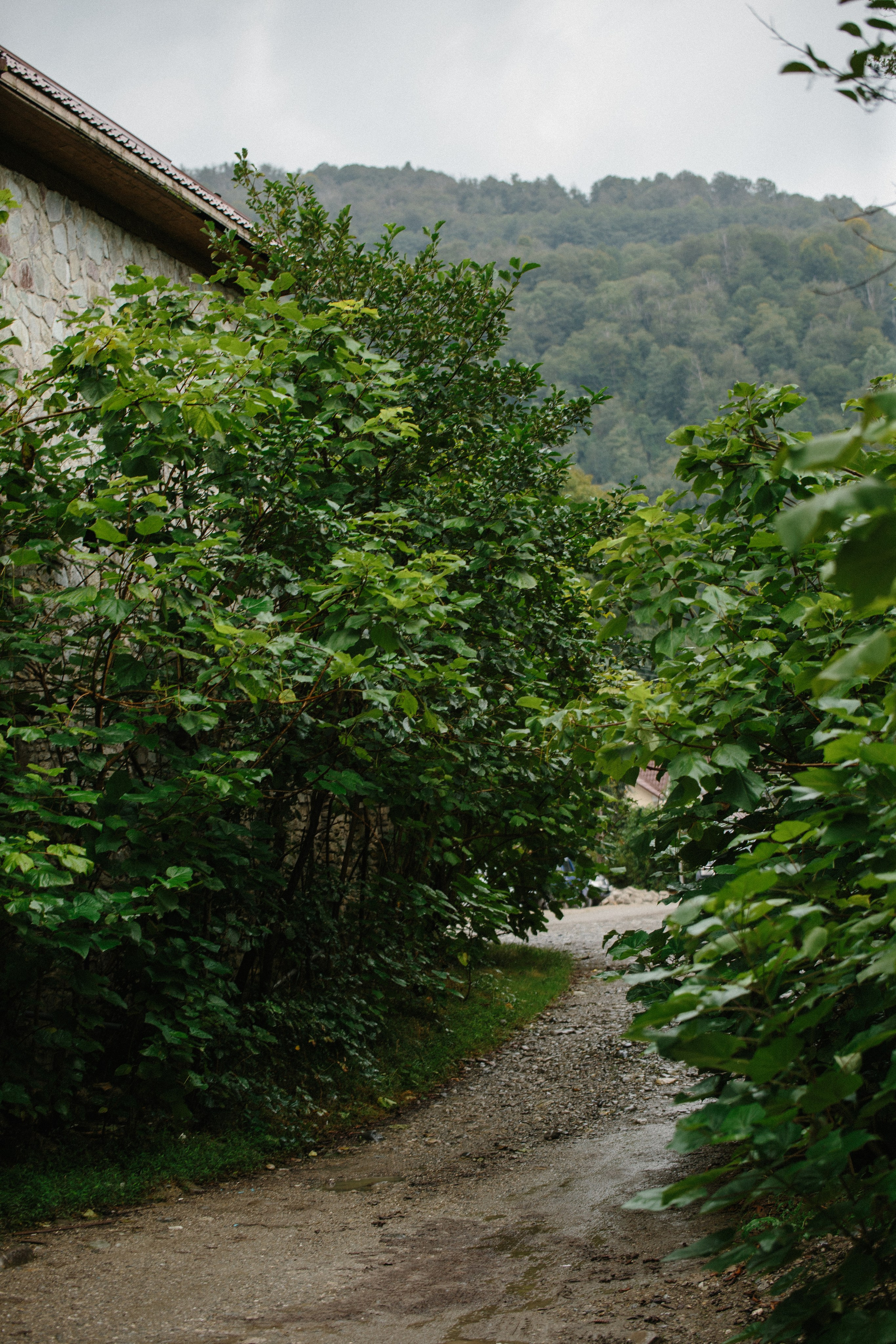 Оштенский Кордон. Семейный фотограф в Белгороде