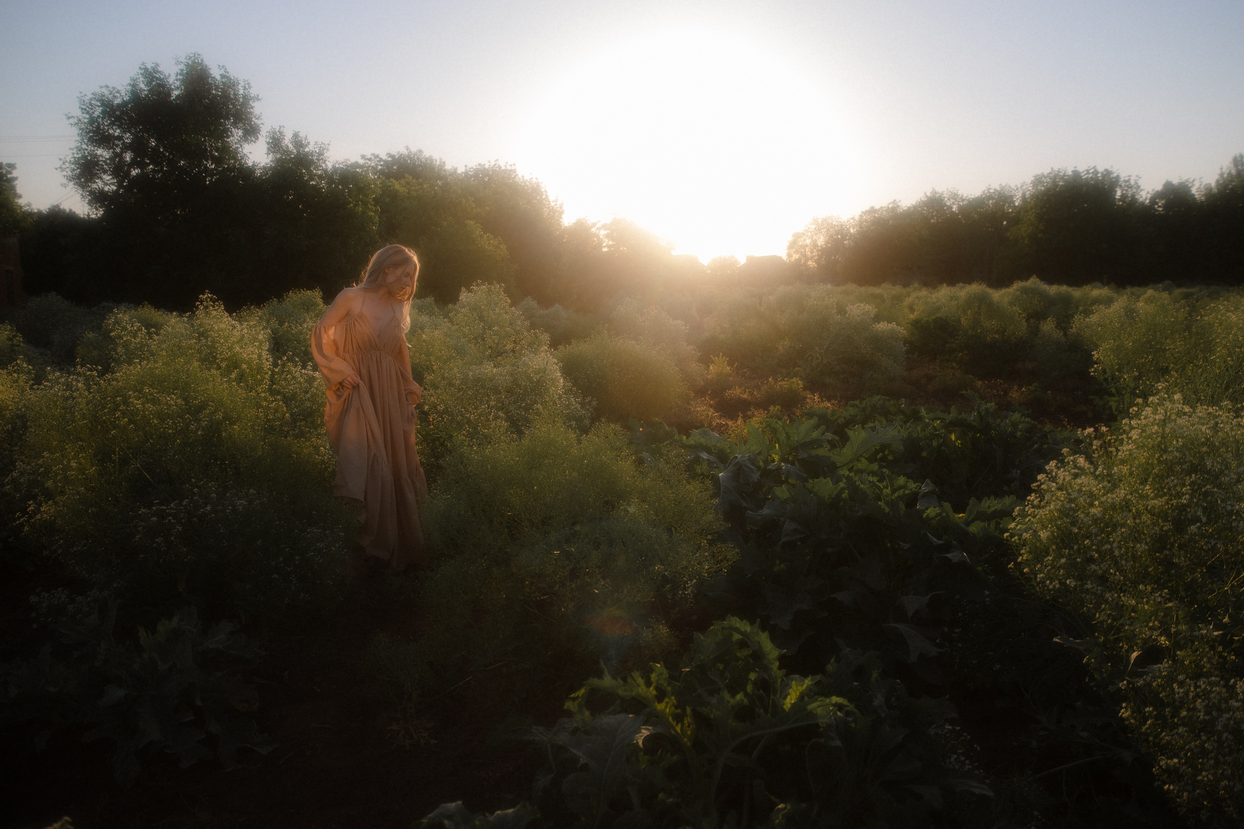 Женственная фотосессия на закате. Кира. Фотограф в Москве Екатерина Черненко