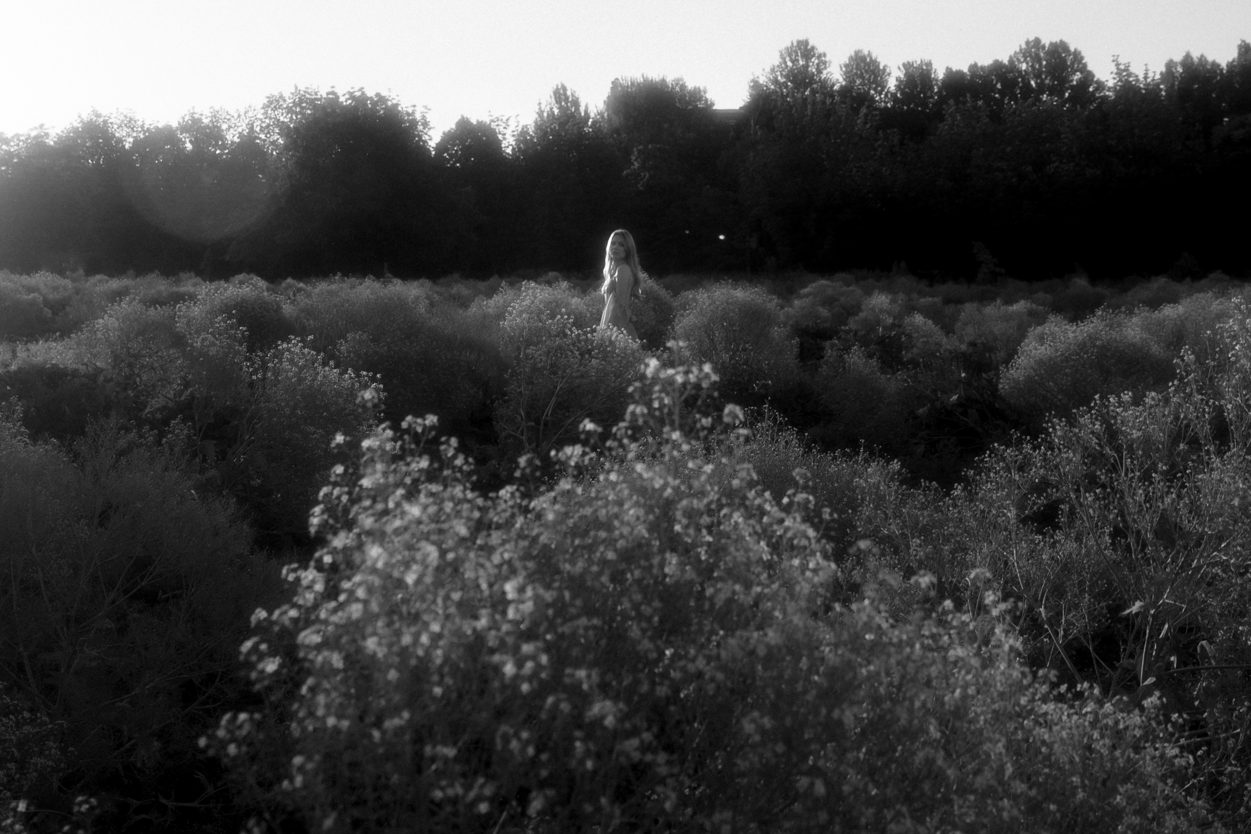 Женственная фотосессия на закате. Кира. Фотограф в Москве Екатерина Черненко