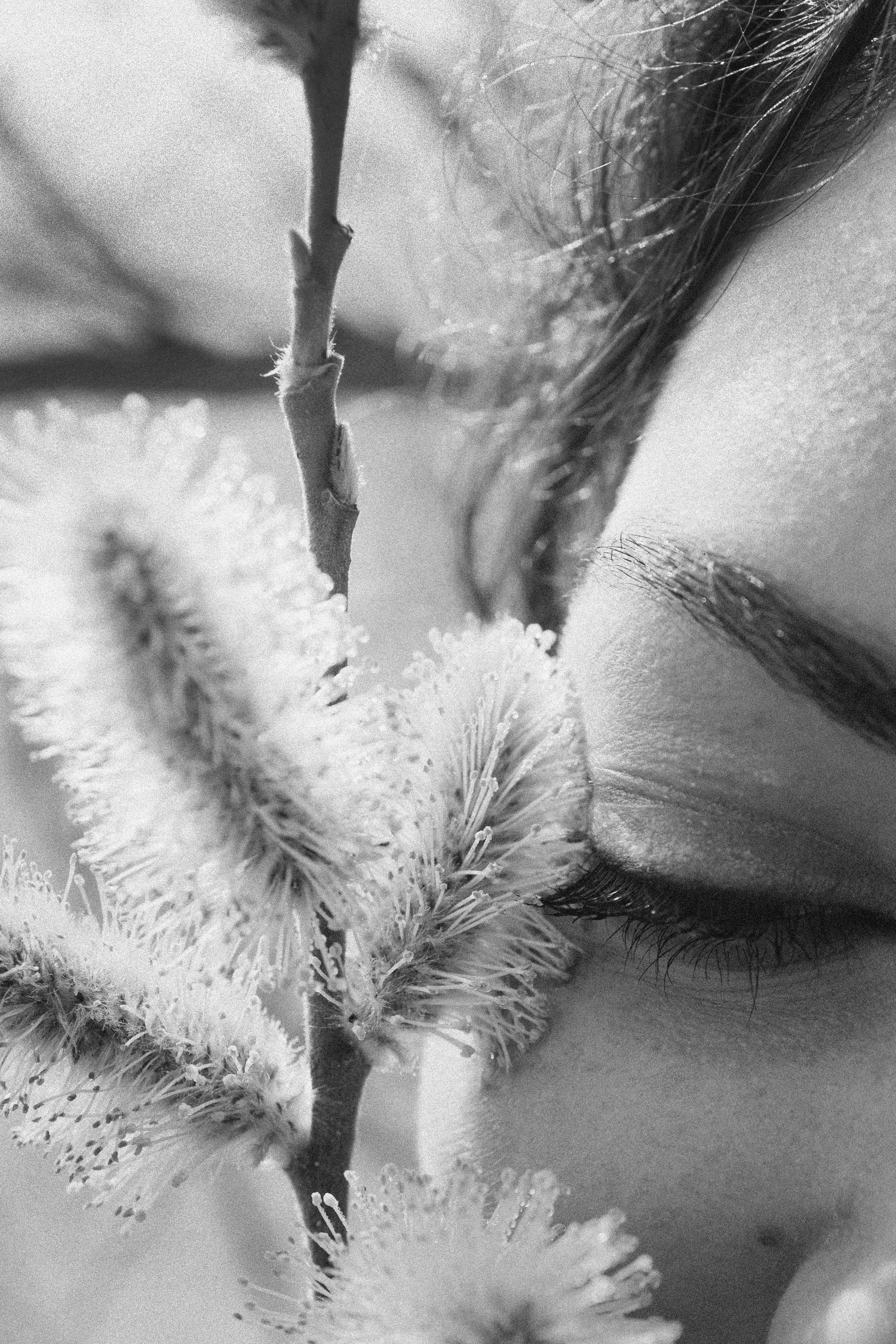 Эстетика П р о Я в л е н и я. Виноградова Маргарита. Фотограф P r o Явления