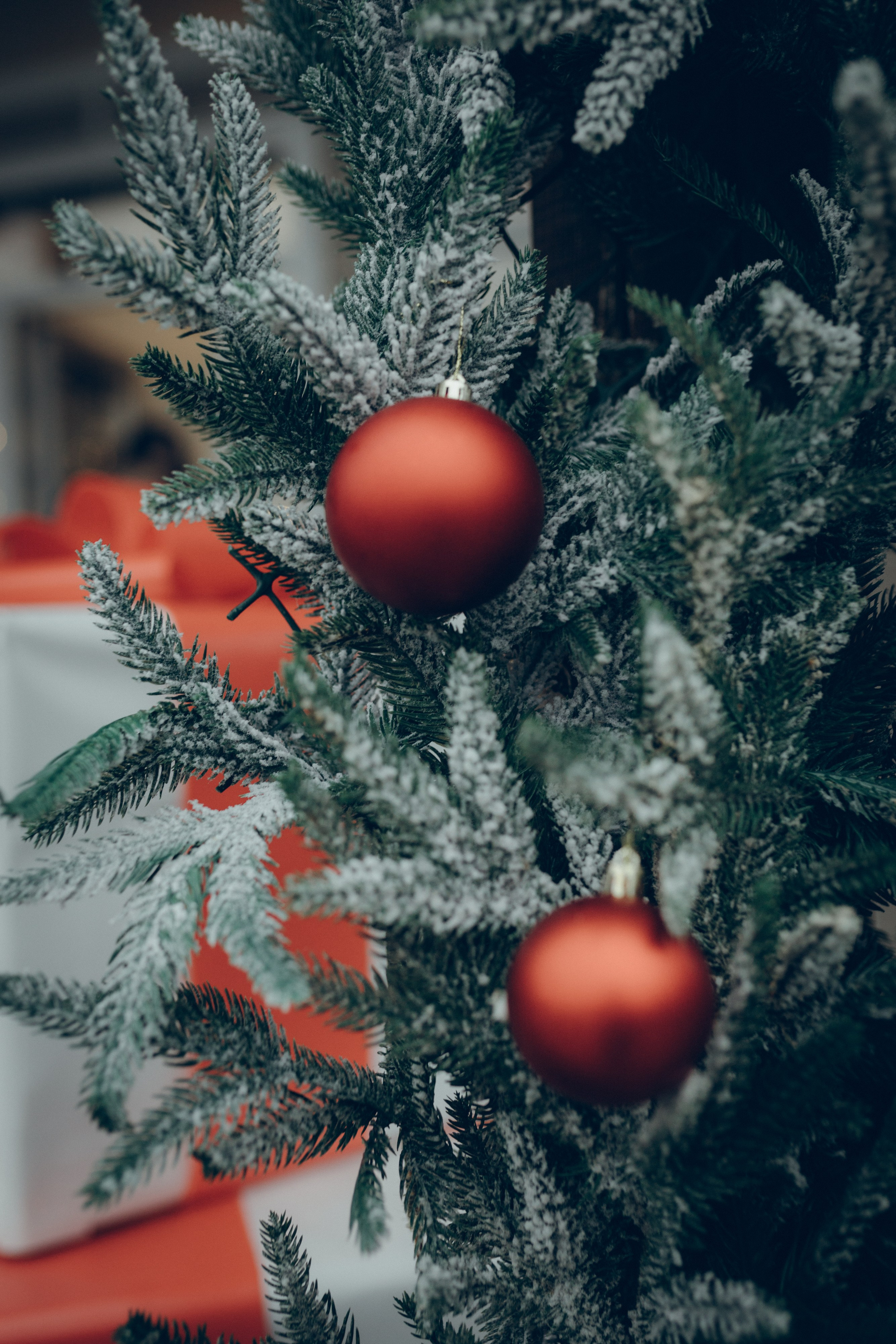 Family story. Семейный фотограф и фотограф на роды в Ростове-на-Дону Мухина Виктория