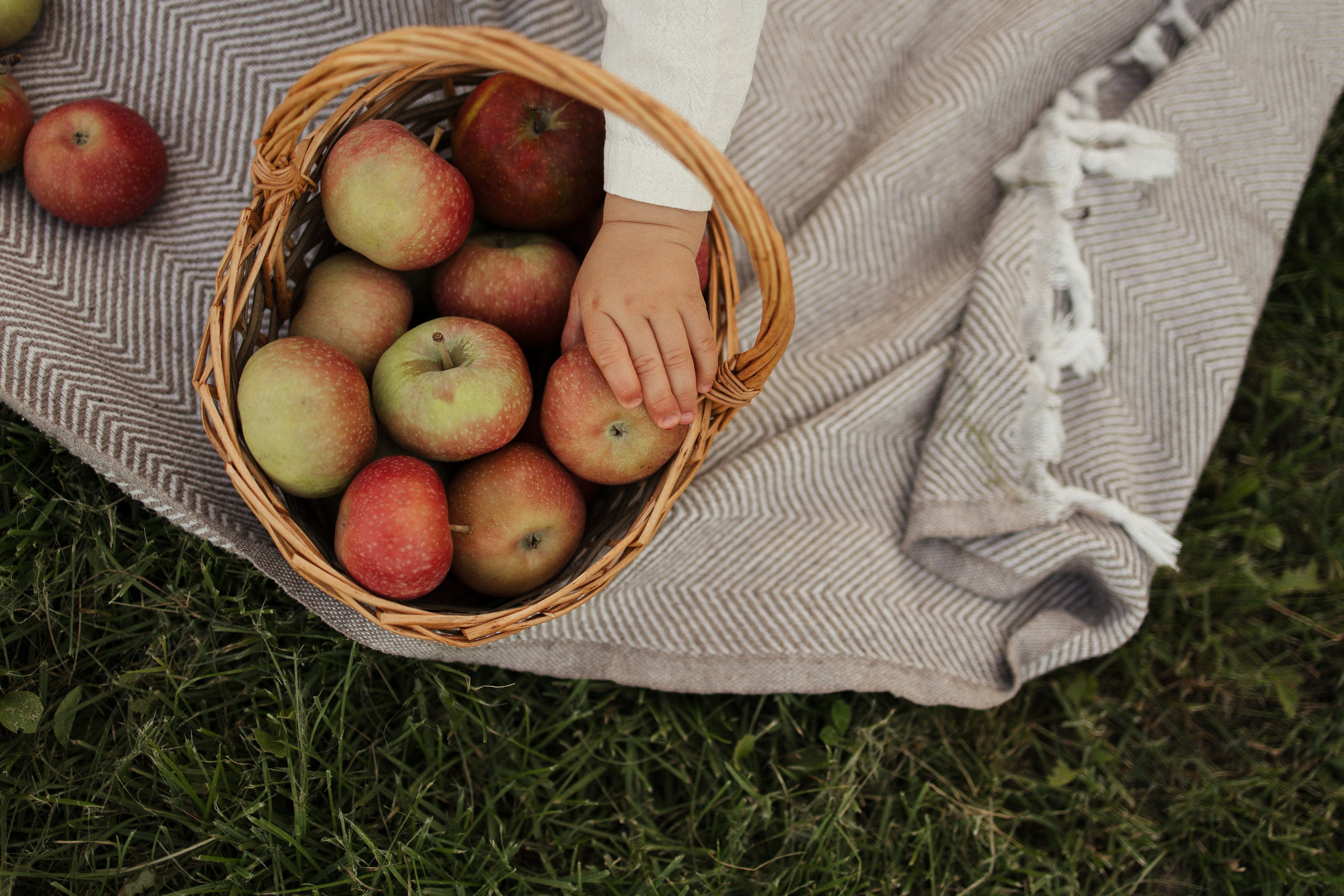 Первый день рождения. Фотограф в Выборге и Санкт-Петербурге Маша Гуляева