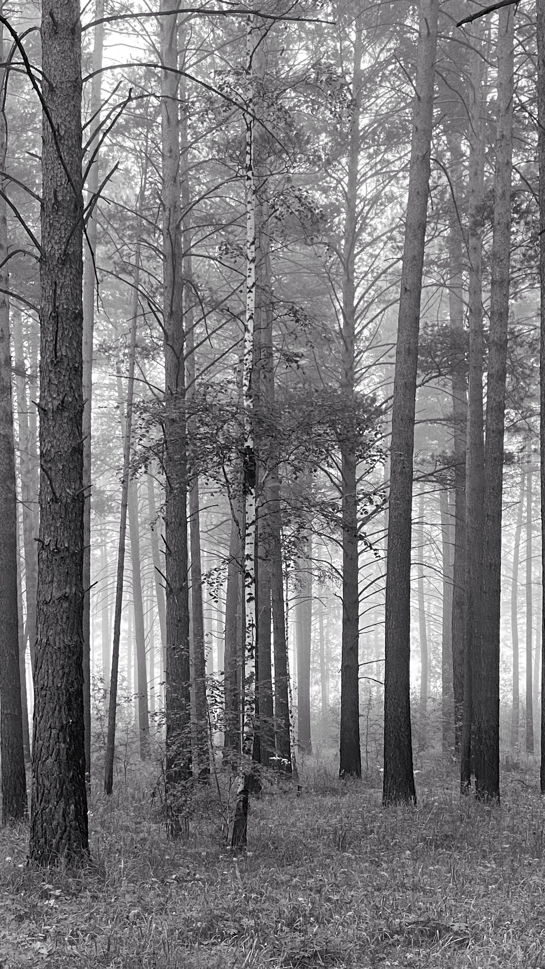 2023. Тащилин Сергей. Фотографии. Жизнь. Хобби