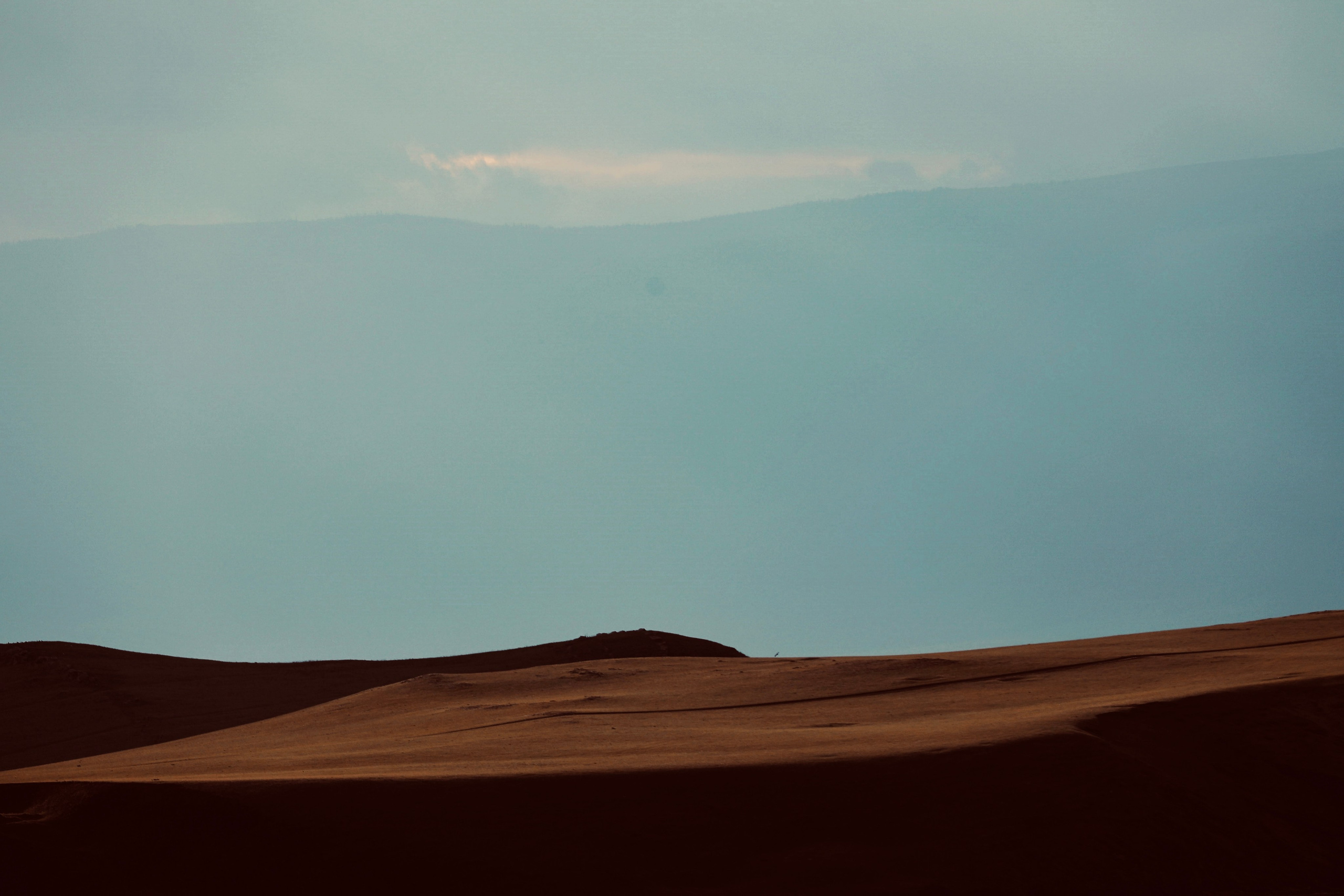 2023. Тащилин Сергей. Фотографии. Жизнь. Хобби