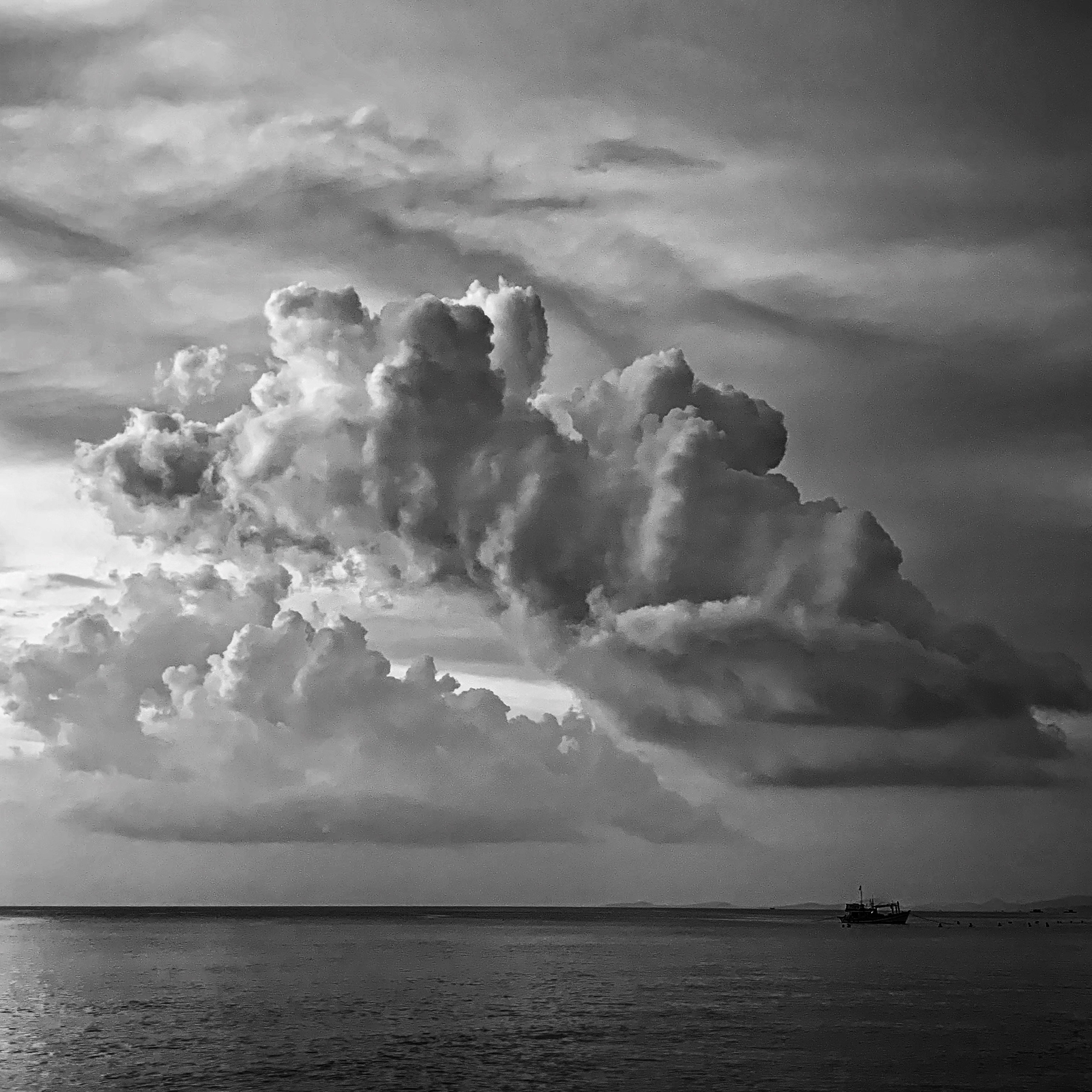 2019 год. Тащилин Сергей. Фотографии. Жизнь. Хобби