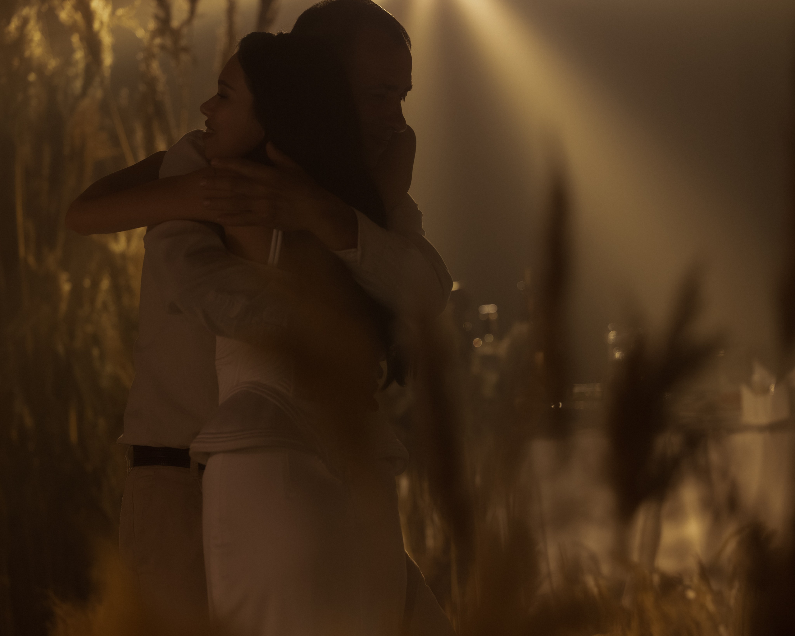 Лебеди. Свадебный фотограф Воронеж Москва СПБ