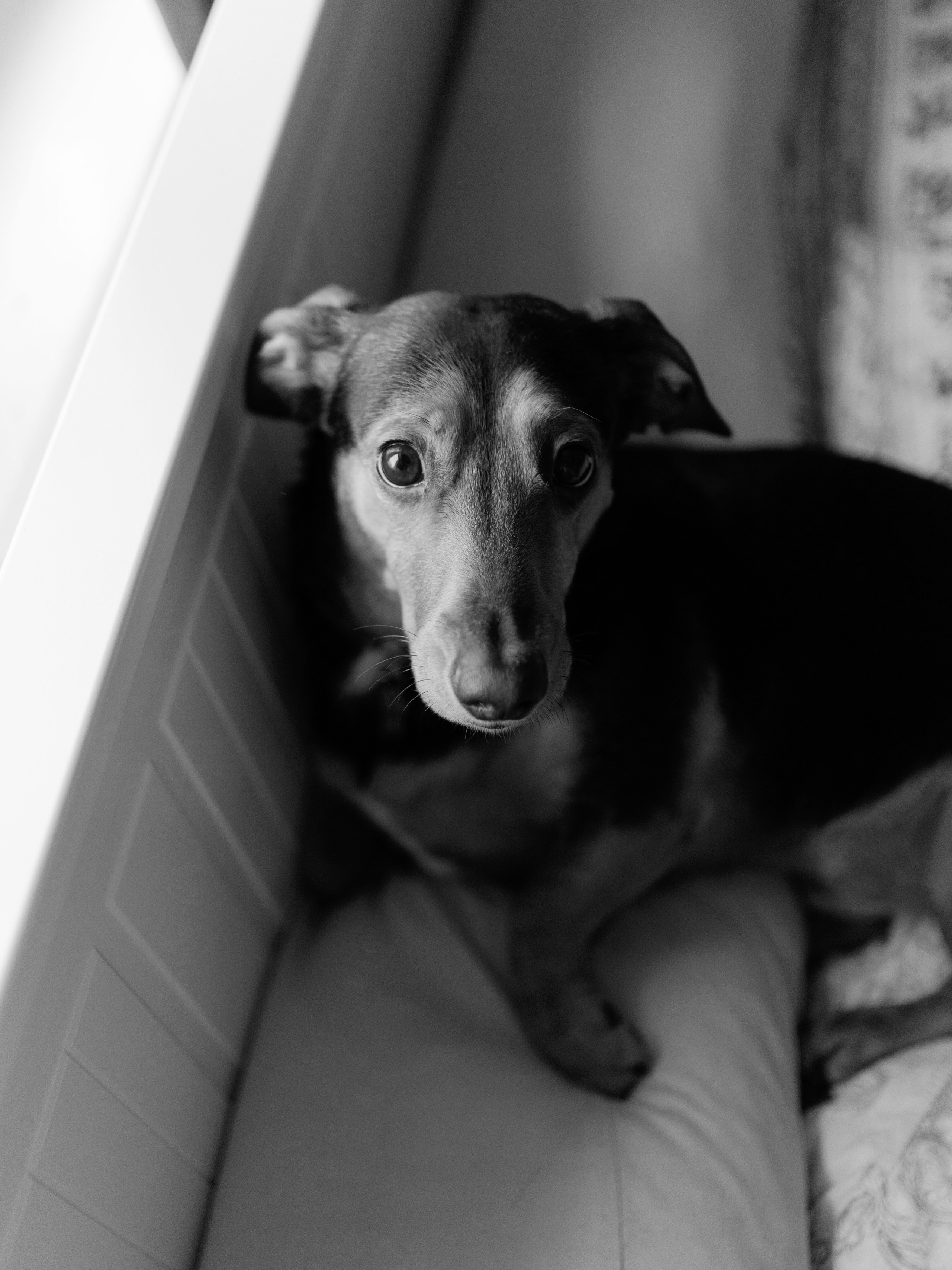 Проект «частный тихий репортаж». Портретный и репортажный фотограф Настя Климачева