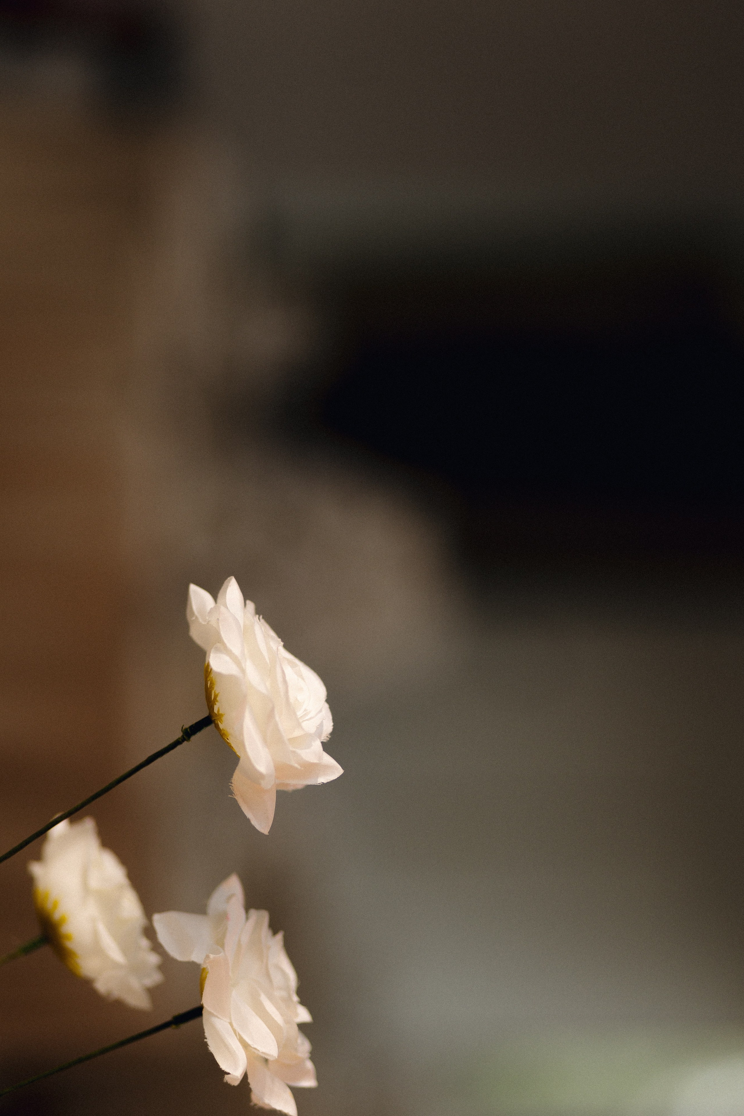 ПАРК СИТИ, MARY WHITE. Свадебный и индивидуальный фотограф в Челябинске Евгения Негодяева