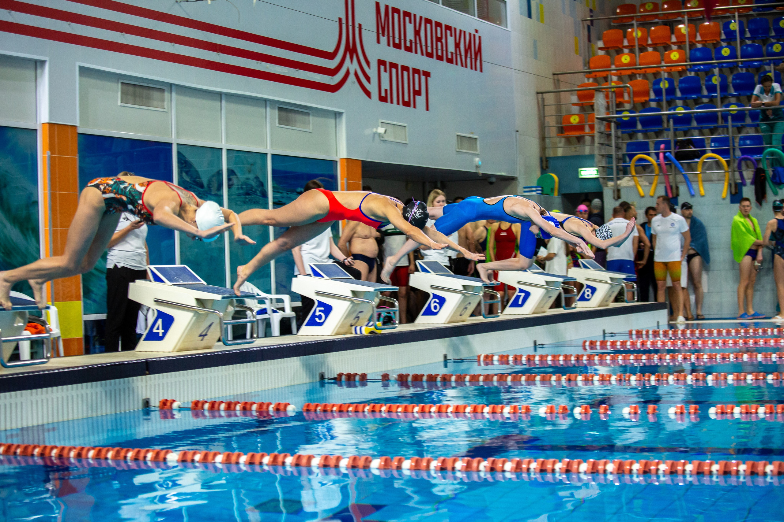 Турнир по плаванию. Репортажный, семейный, свадебный, портретный фотограф