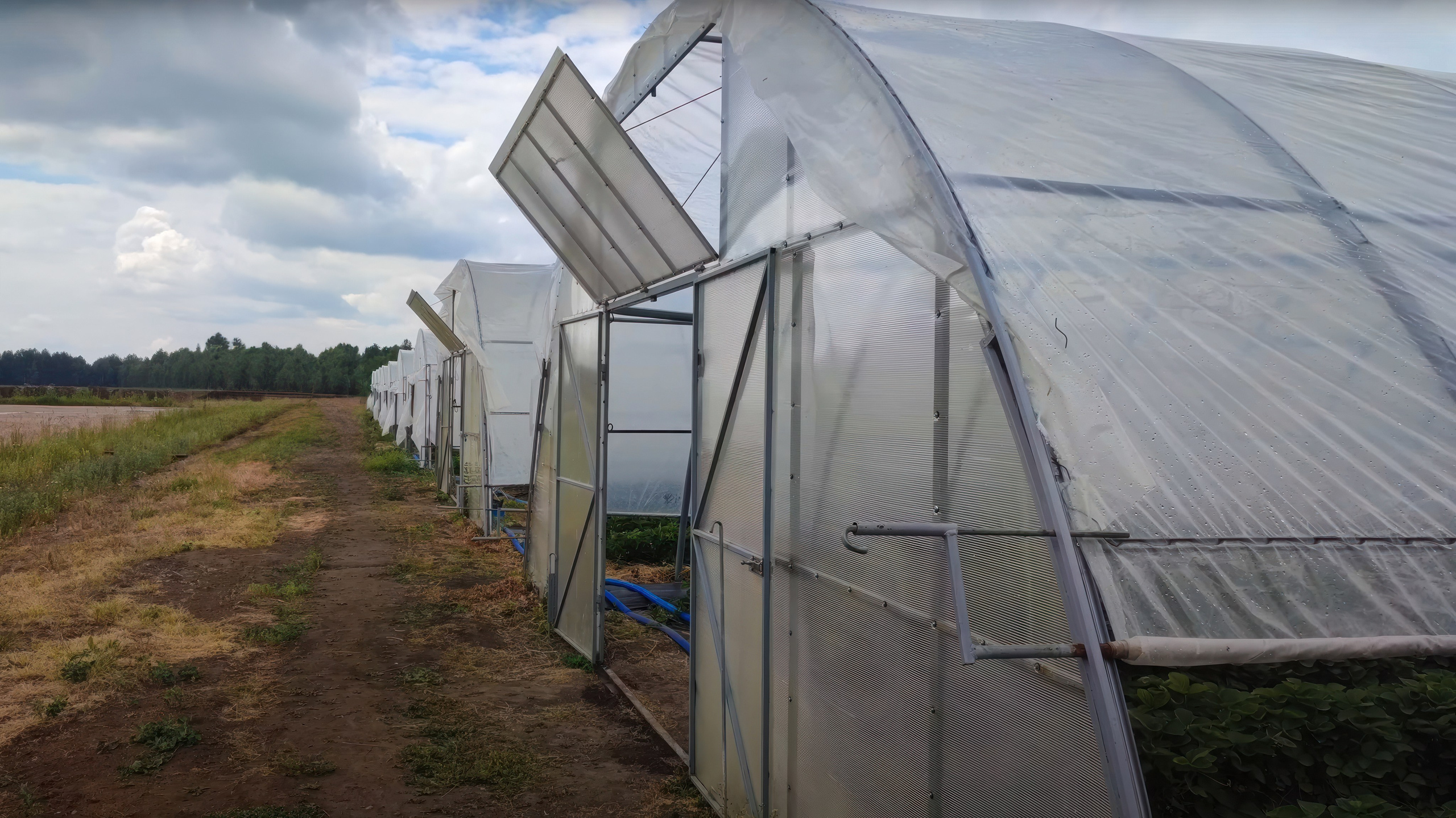 БИОЭНЕРГИЯ — Производство субстрата для теплиц, маты для выращивания