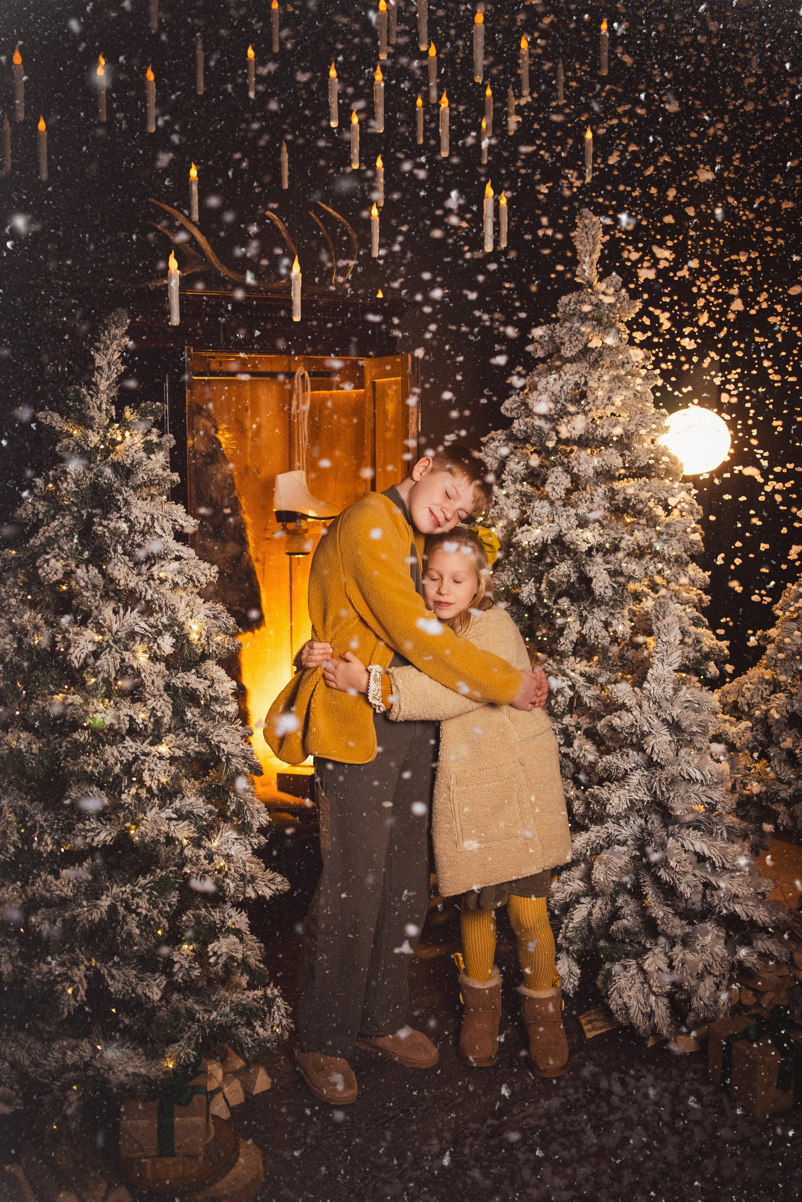 Фотосессия с собачками Корги в зимних декорациях фотостудии «Майя», город Краснодар. Семейный и детский фотограф в Краснодаре Анна Трашкова